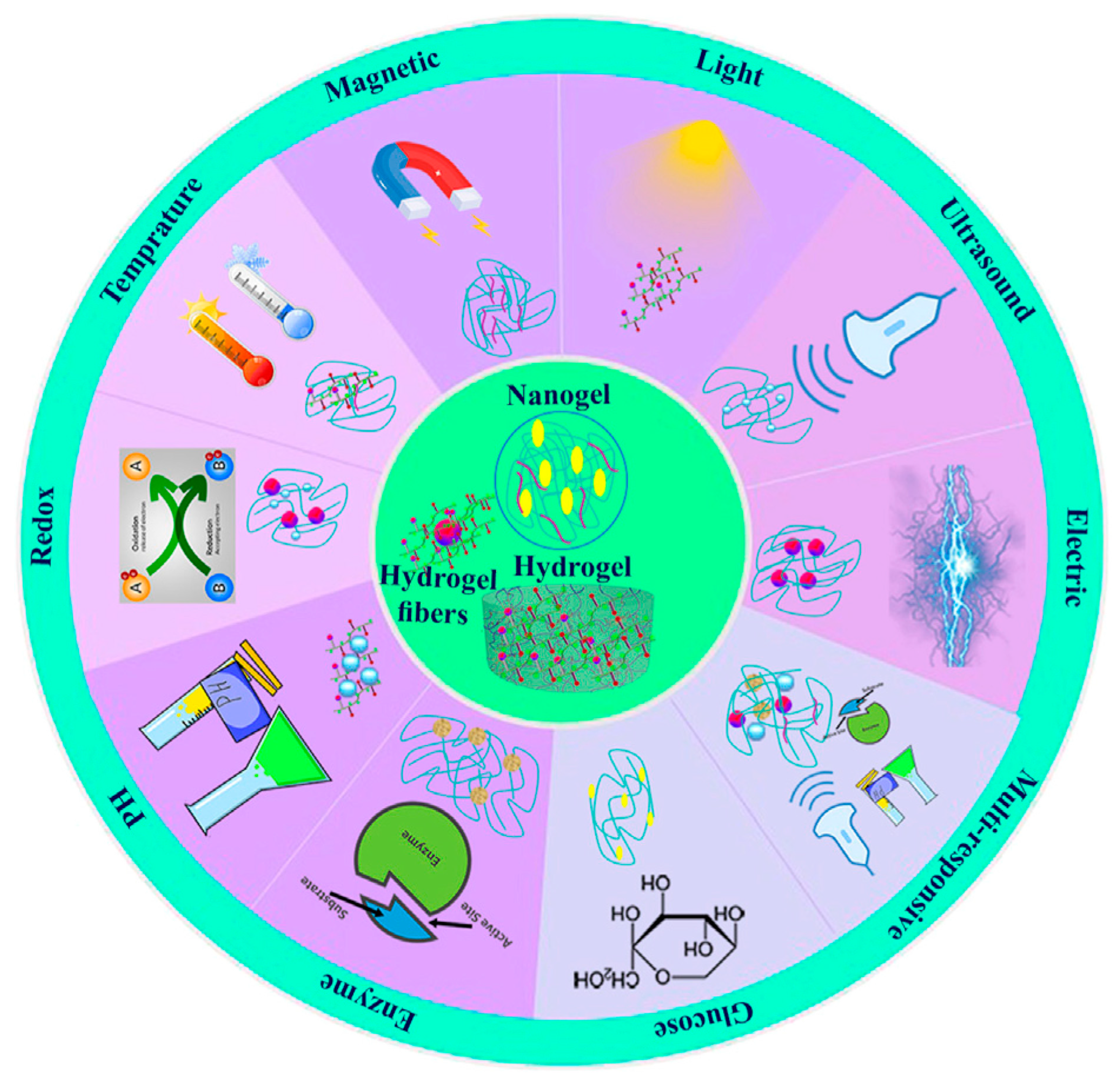 Biomedicines 13 00731 g003