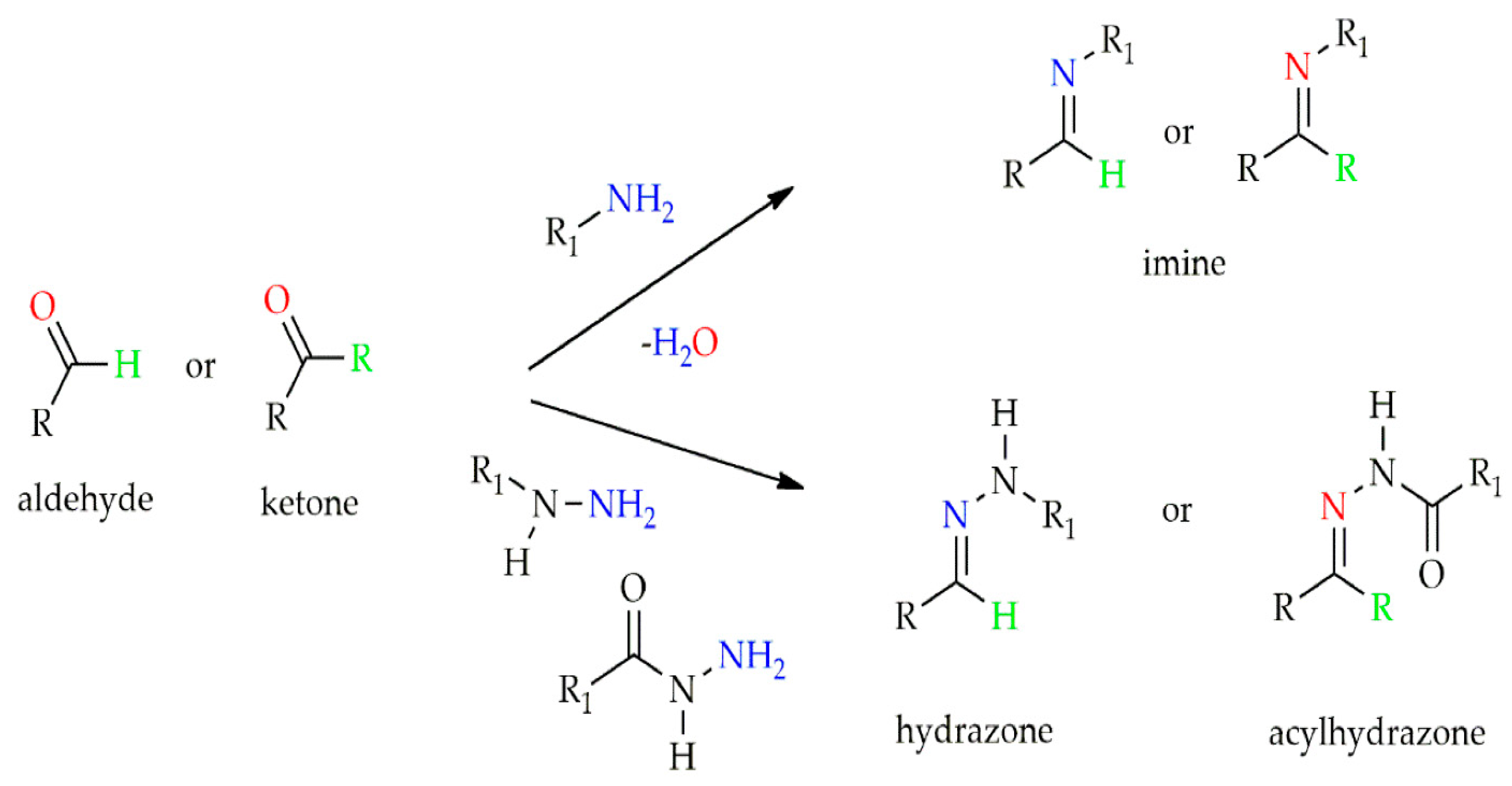 Biomedicines 13 00731 g004