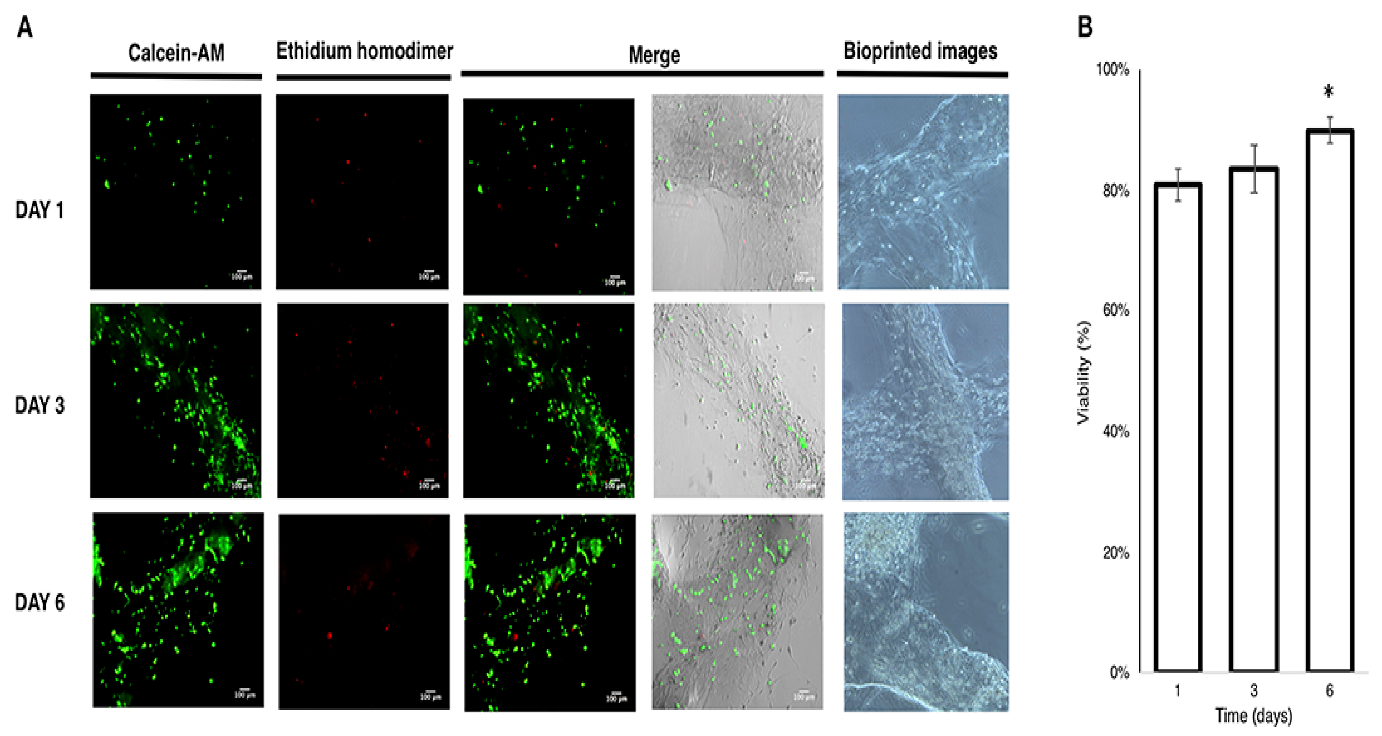 Biomedicines 13 00731 g013