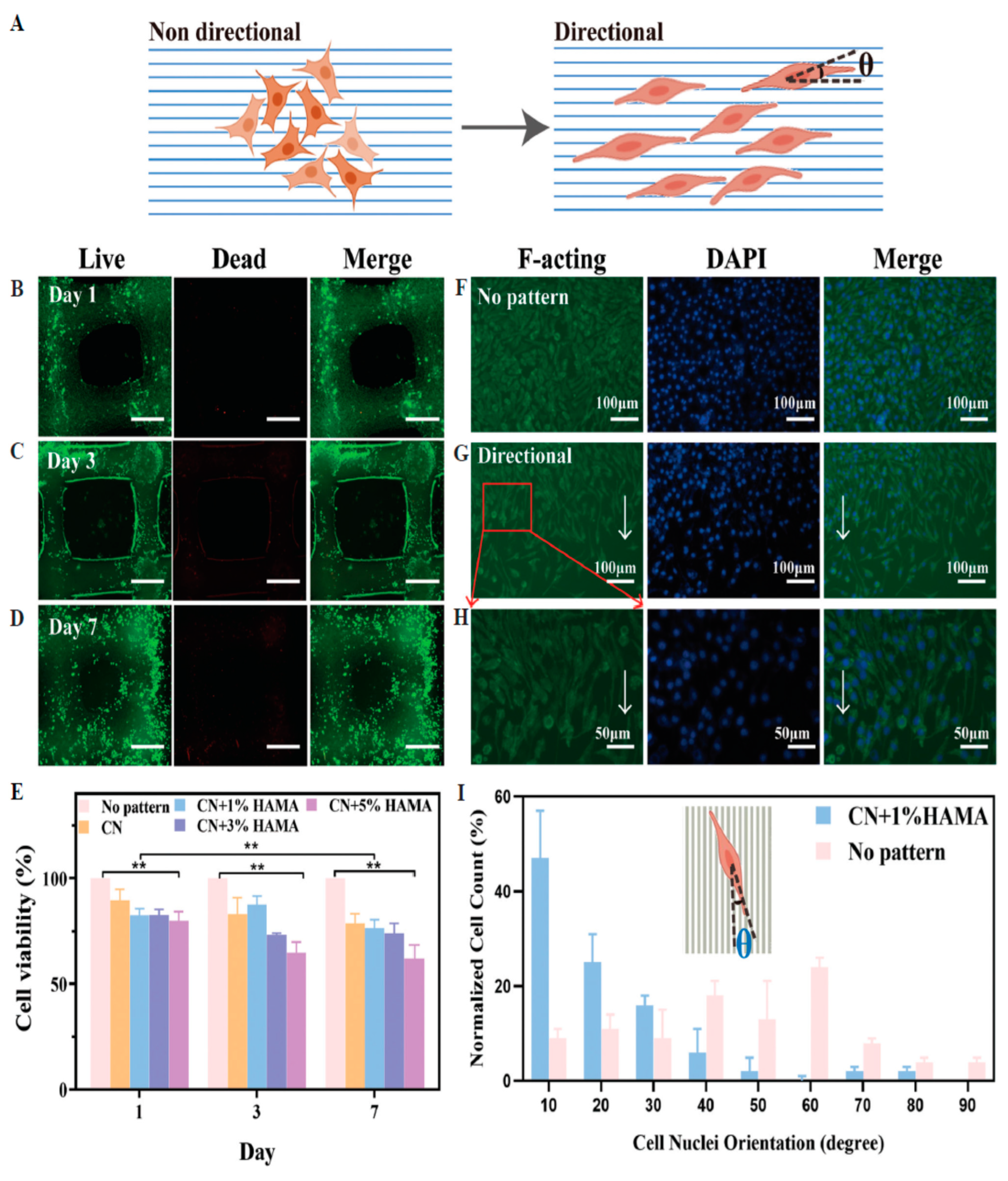 Biomedicines 13 00731 g014