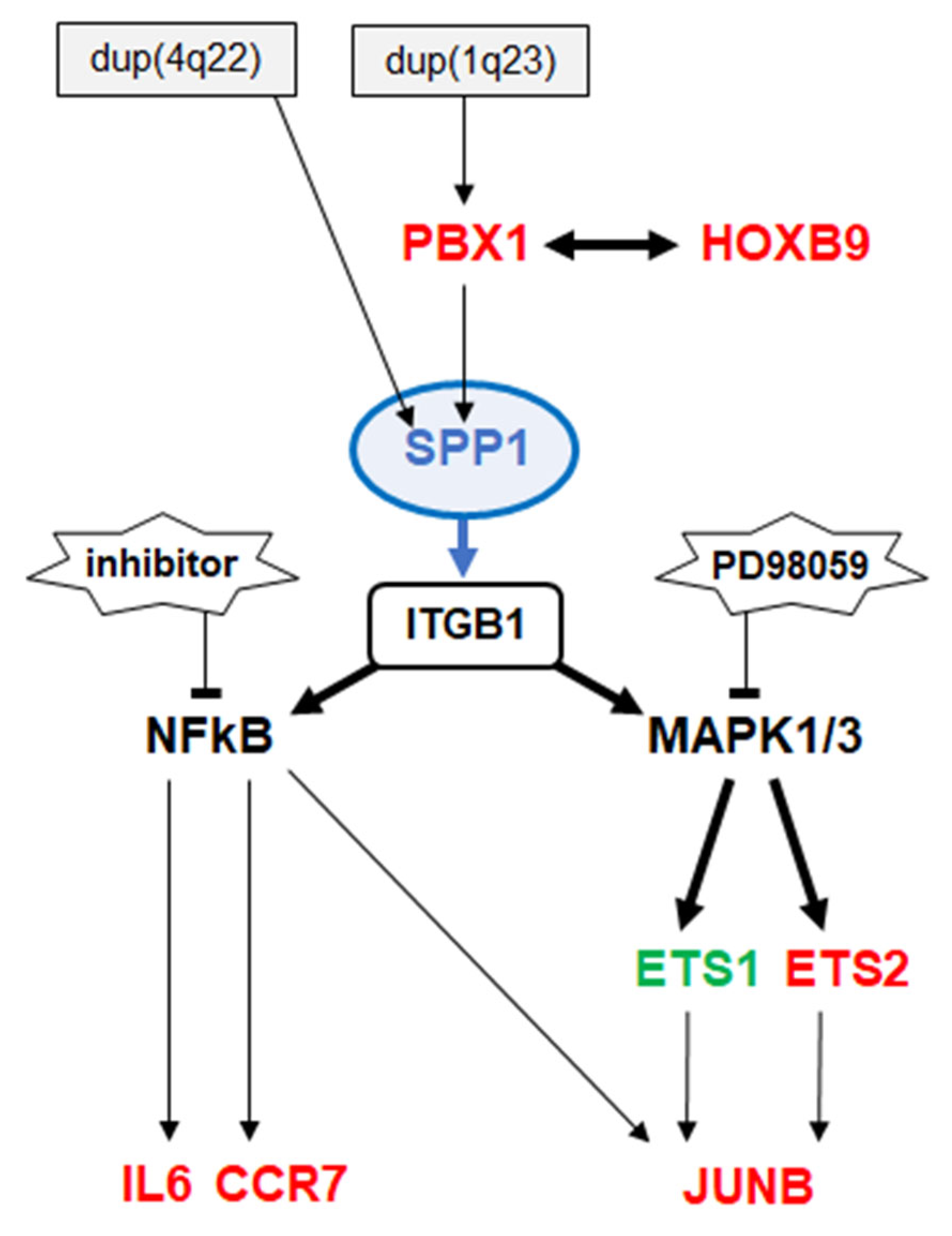 Biomedicines 13 00735 g006