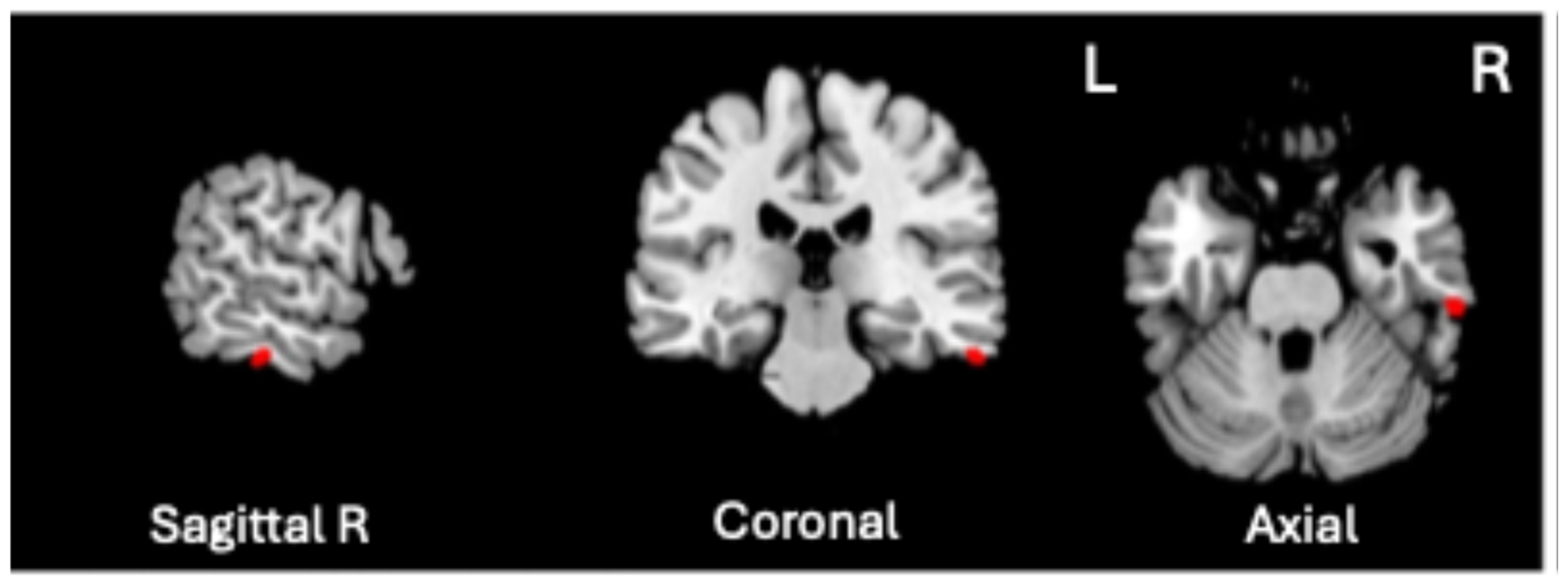 Biomedicines 13 00736 g002