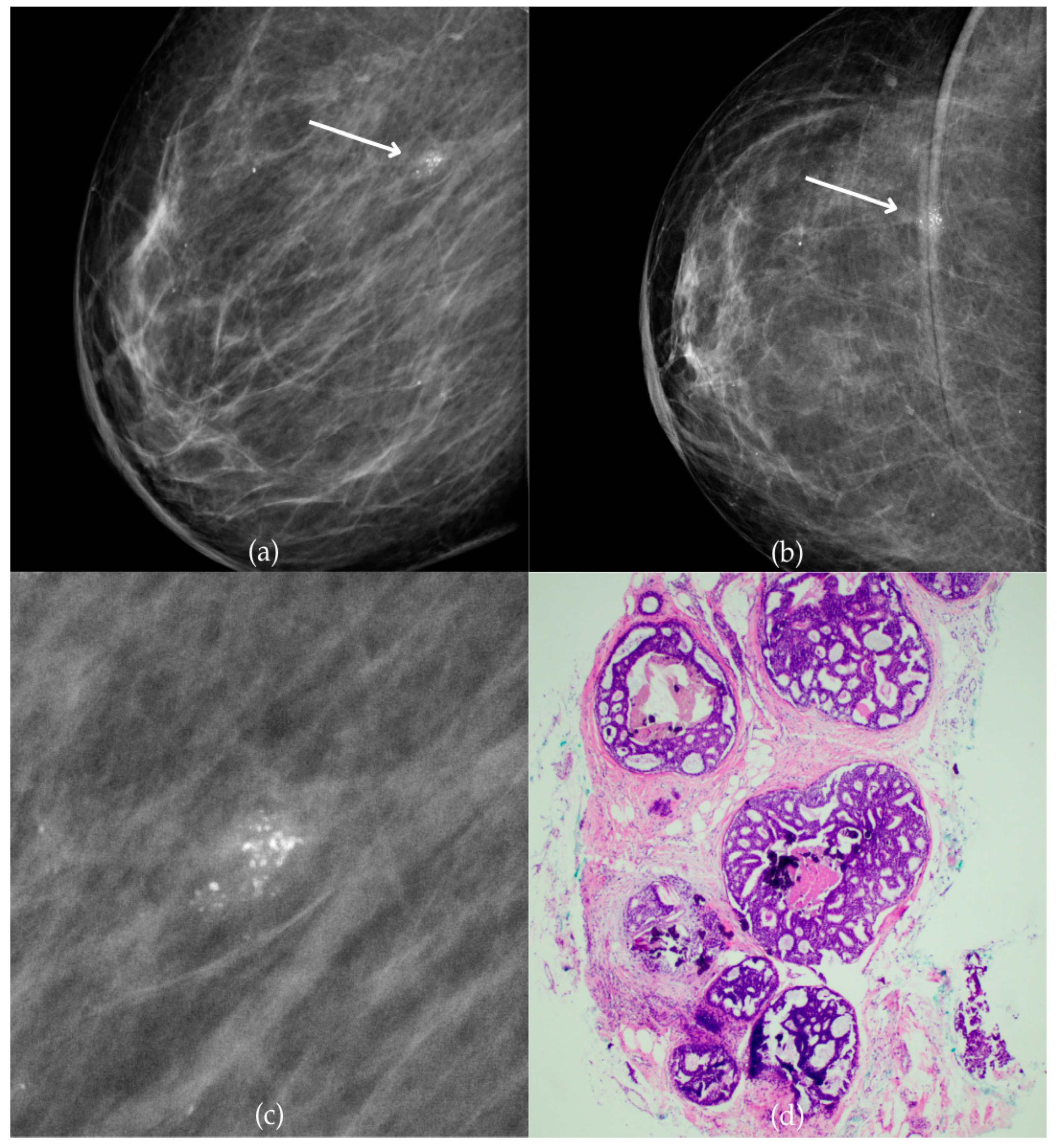 Biomedicines 13 00737 g001