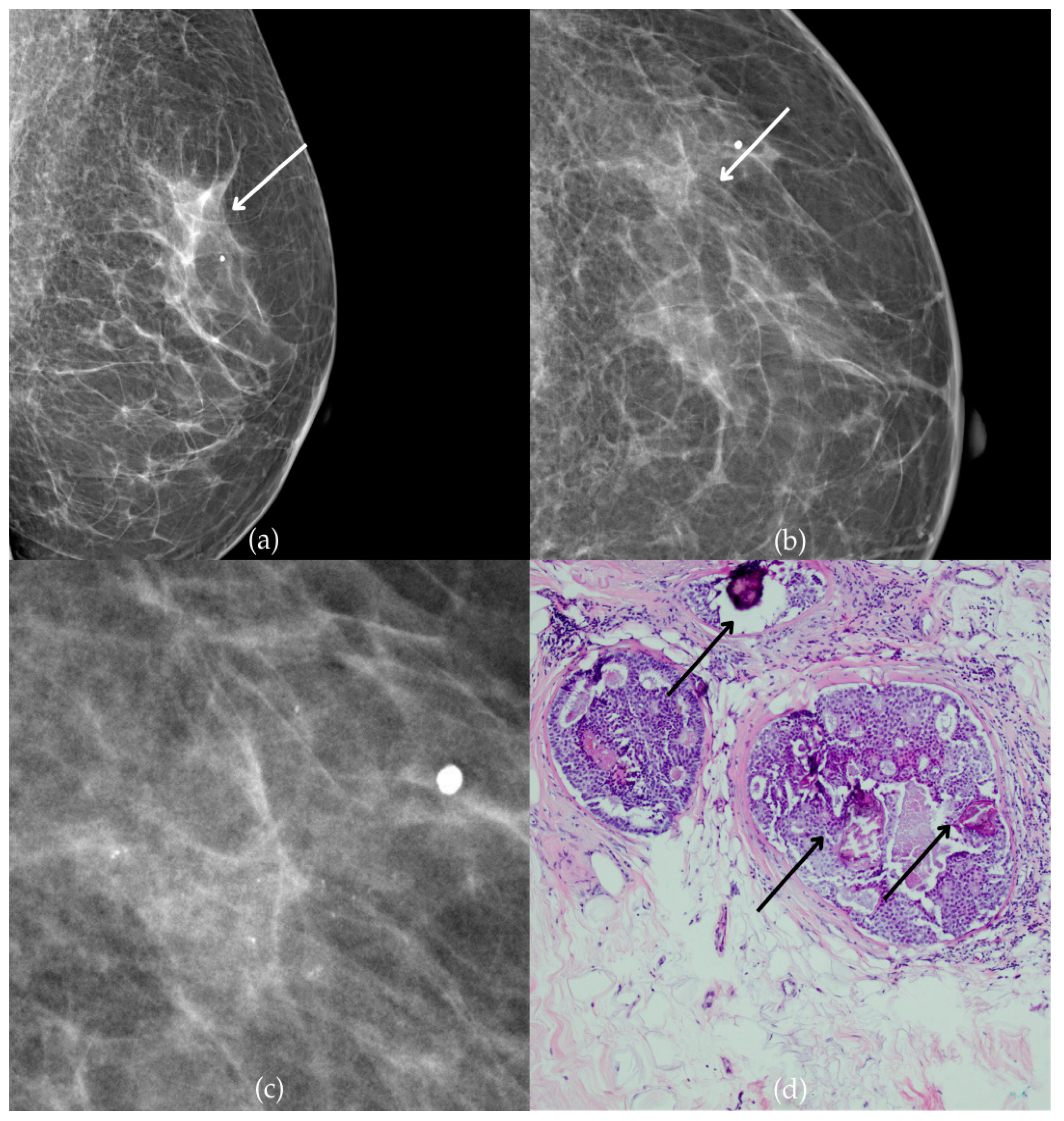 Biomedicines 13 00737 g002