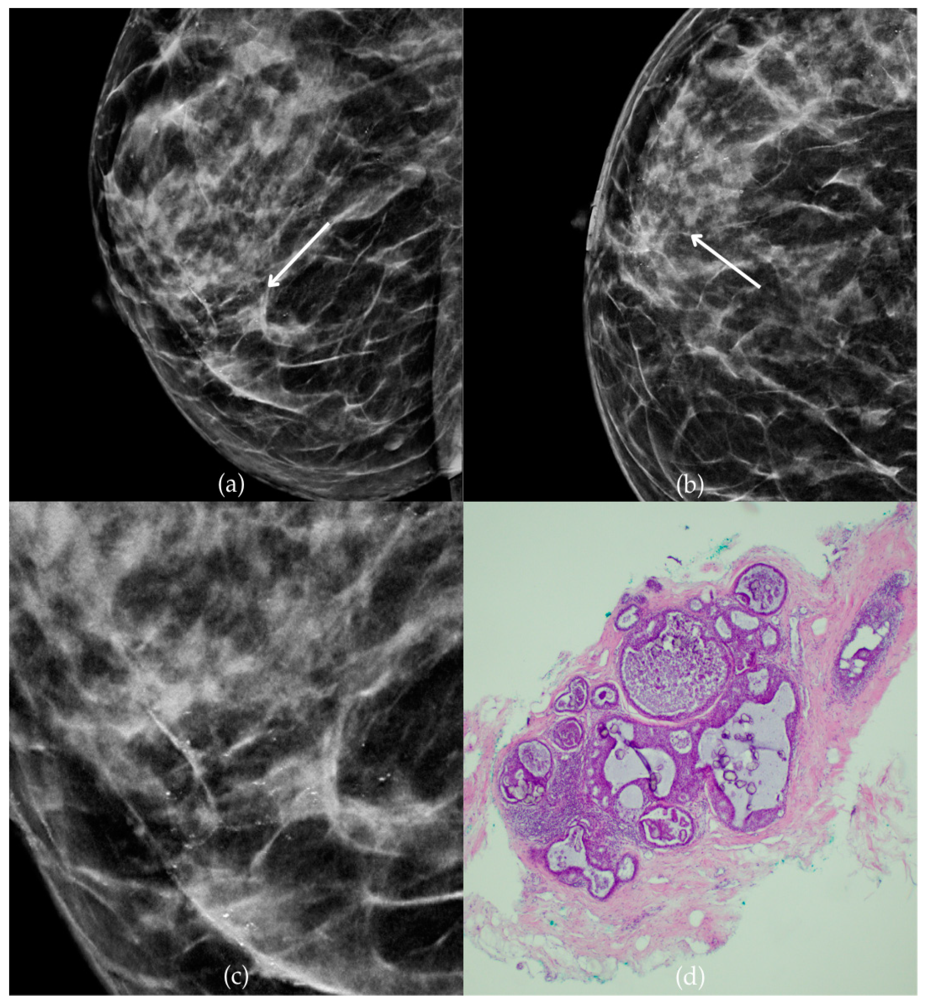 Biomedicines 13 00737 g006