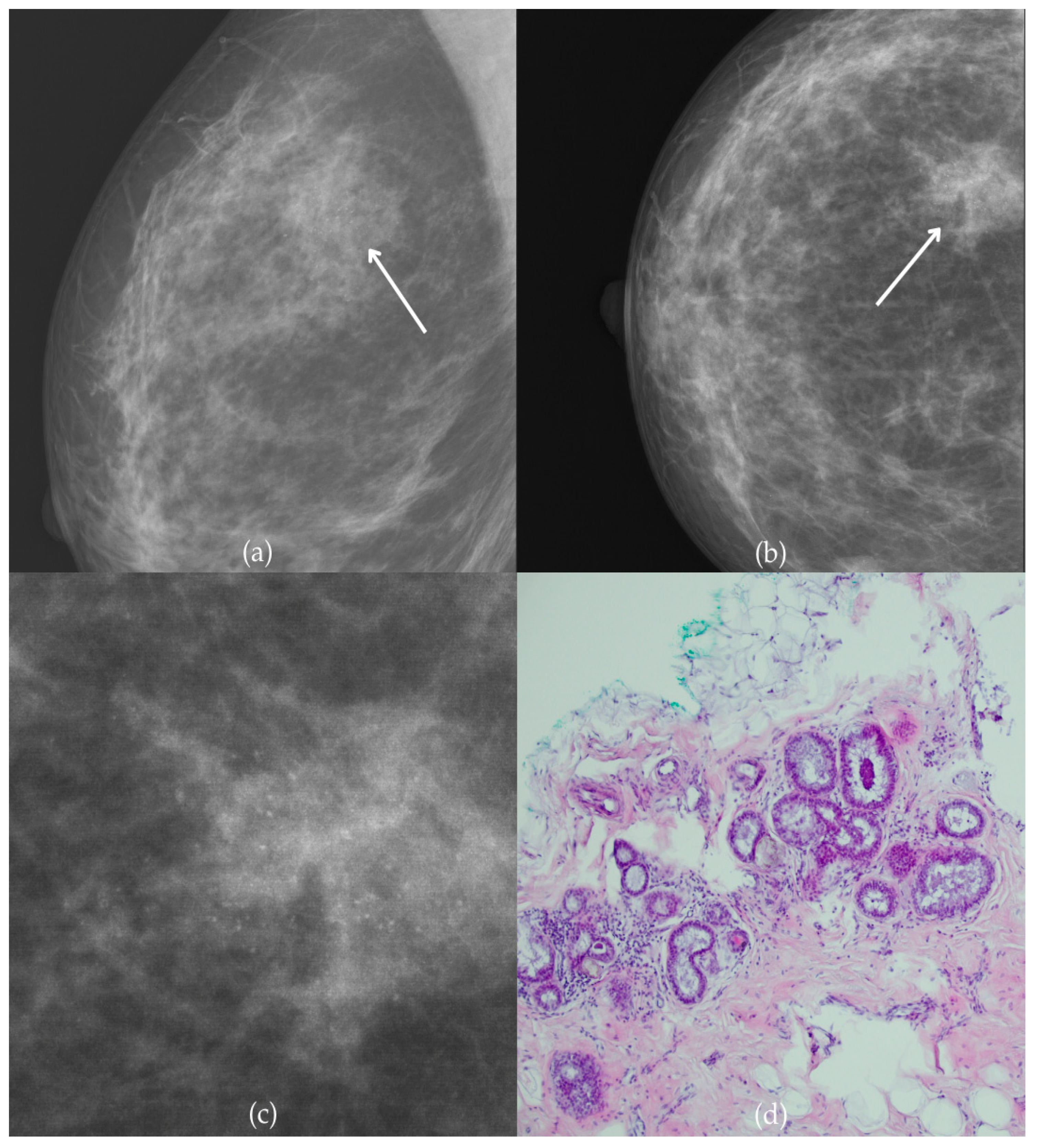Biomedicines 13 00737 g007