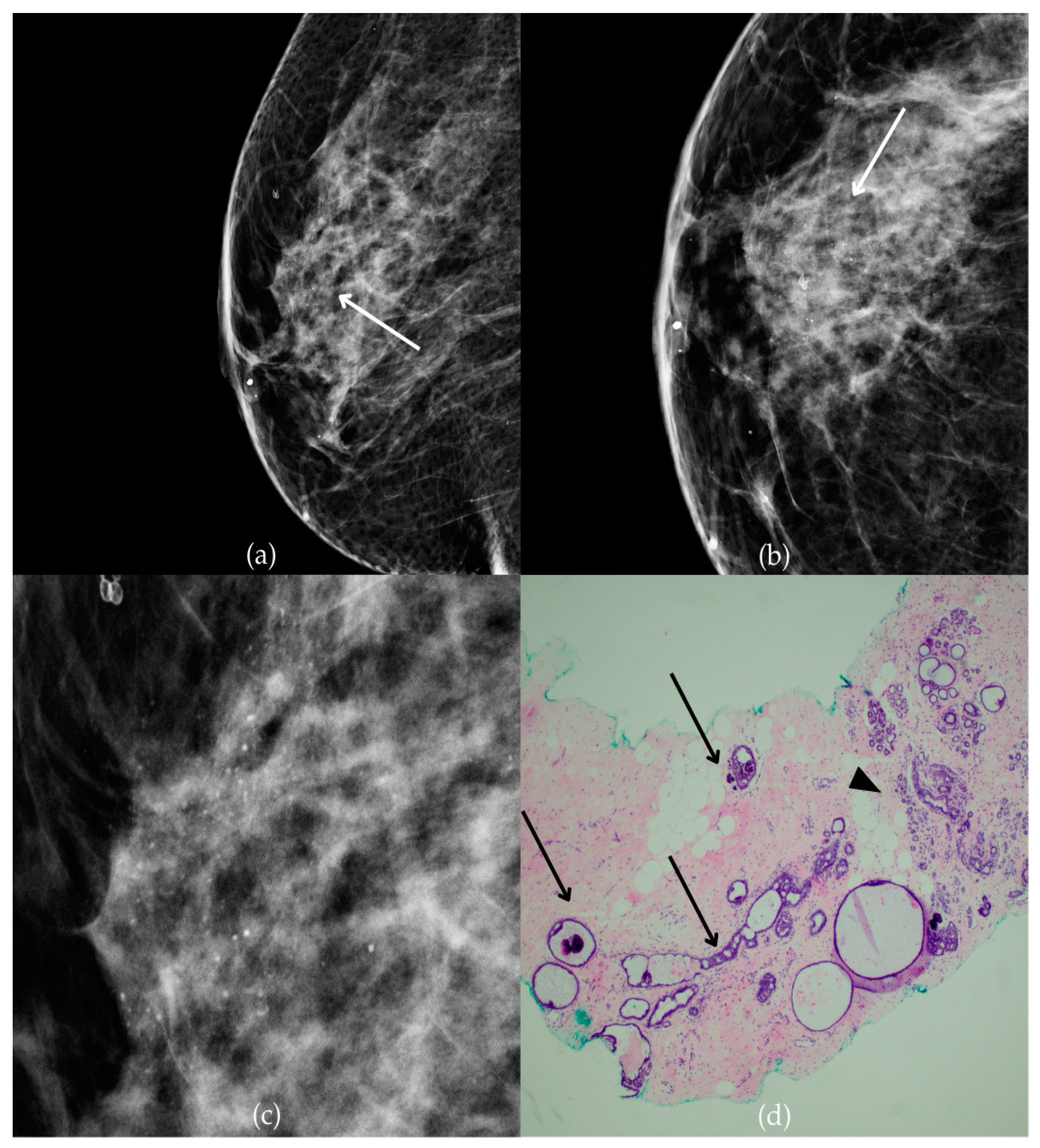 Biomedicines 13 00737 g009