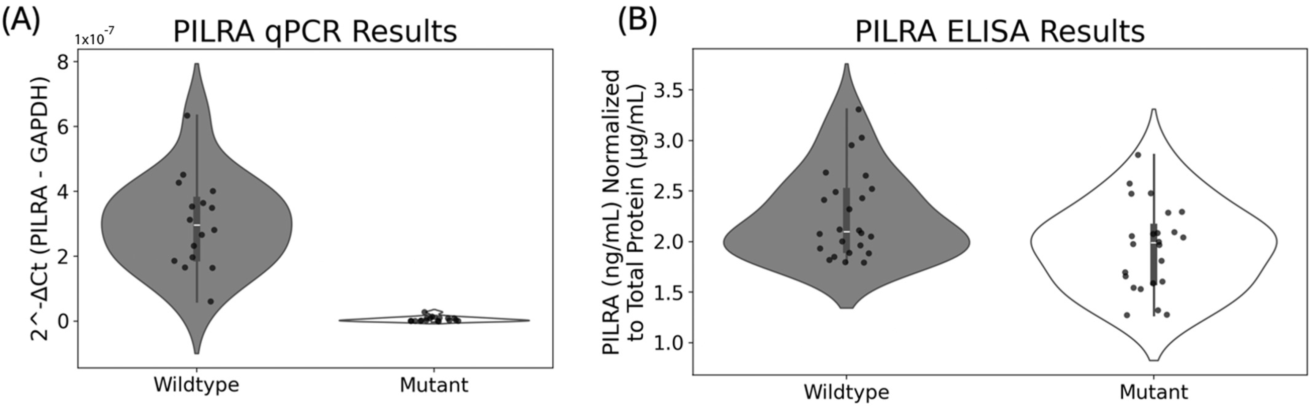 Biomedicines 13 00739 g002