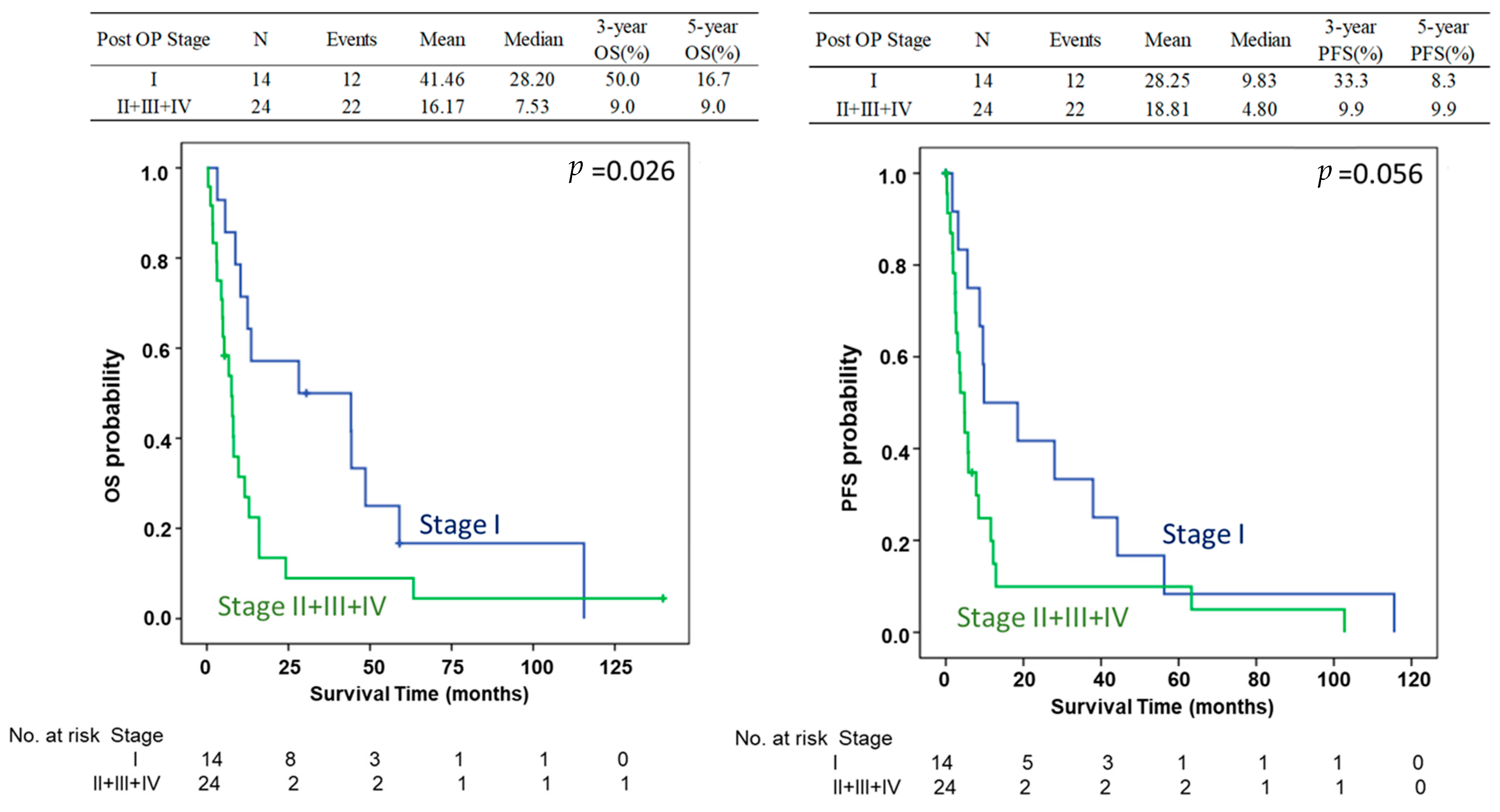 Biomedicines 13 00745 g005