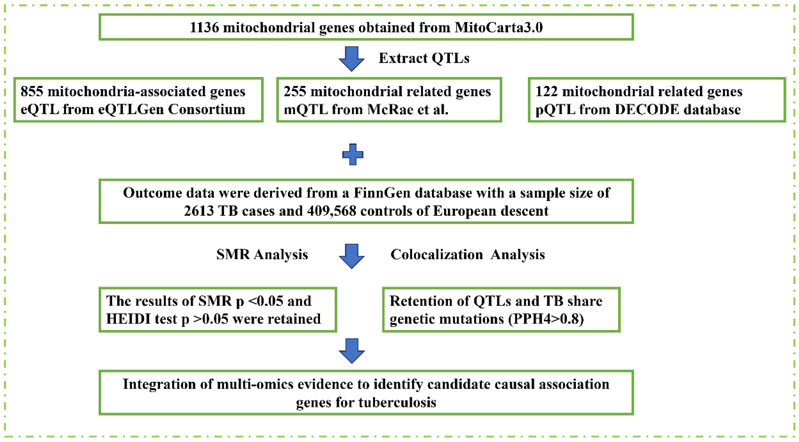 Biomedicines 13 00749 g001