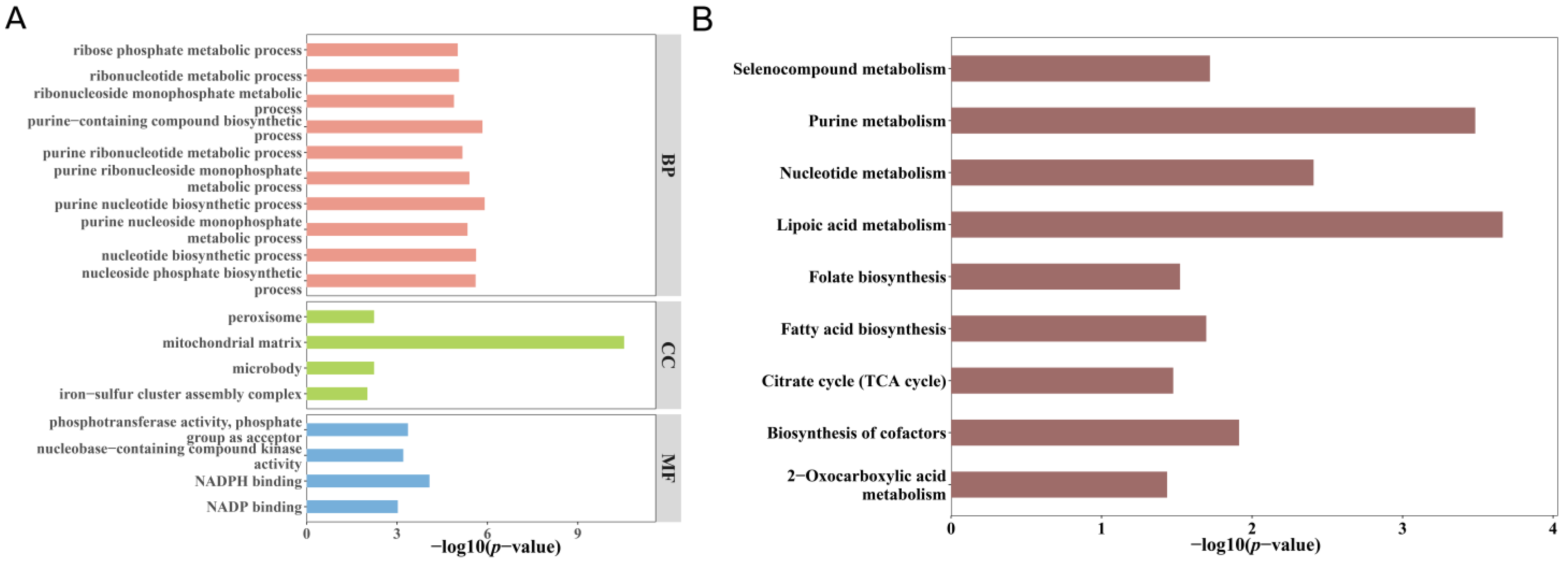 Biomedicines 13 00749 g005