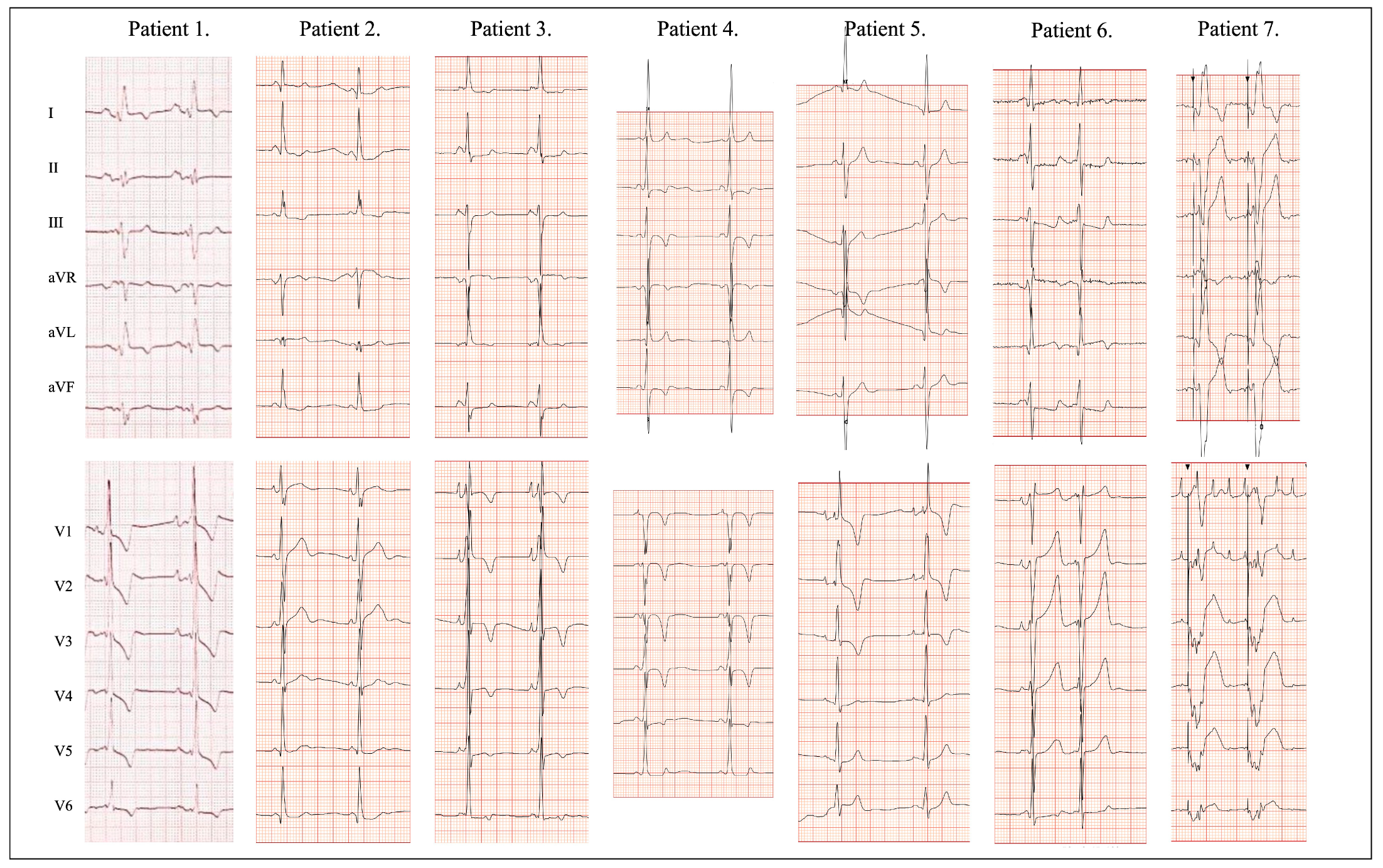 Biomedicines 13 00751 g002