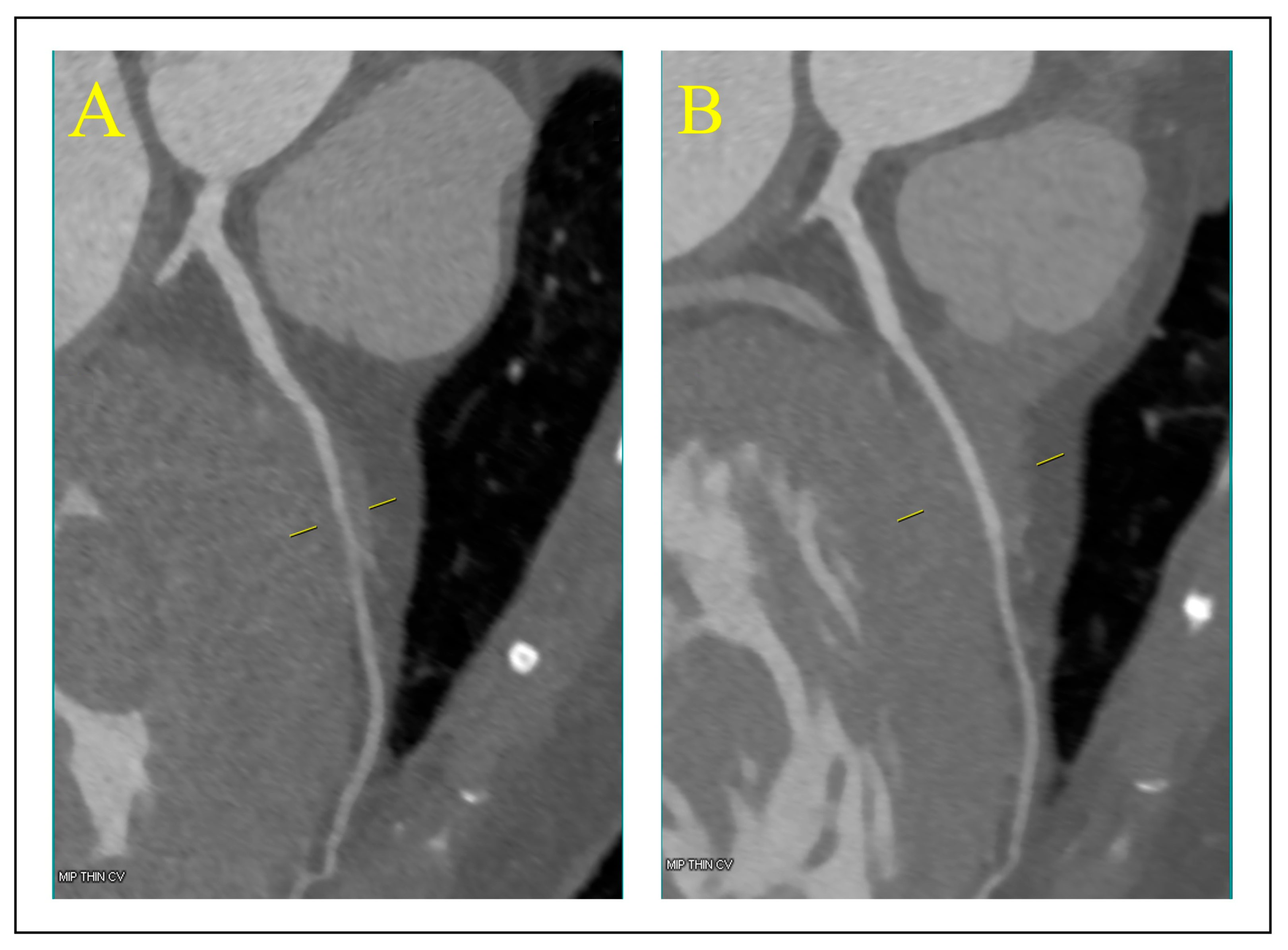 Biomedicines 13 00751 g005