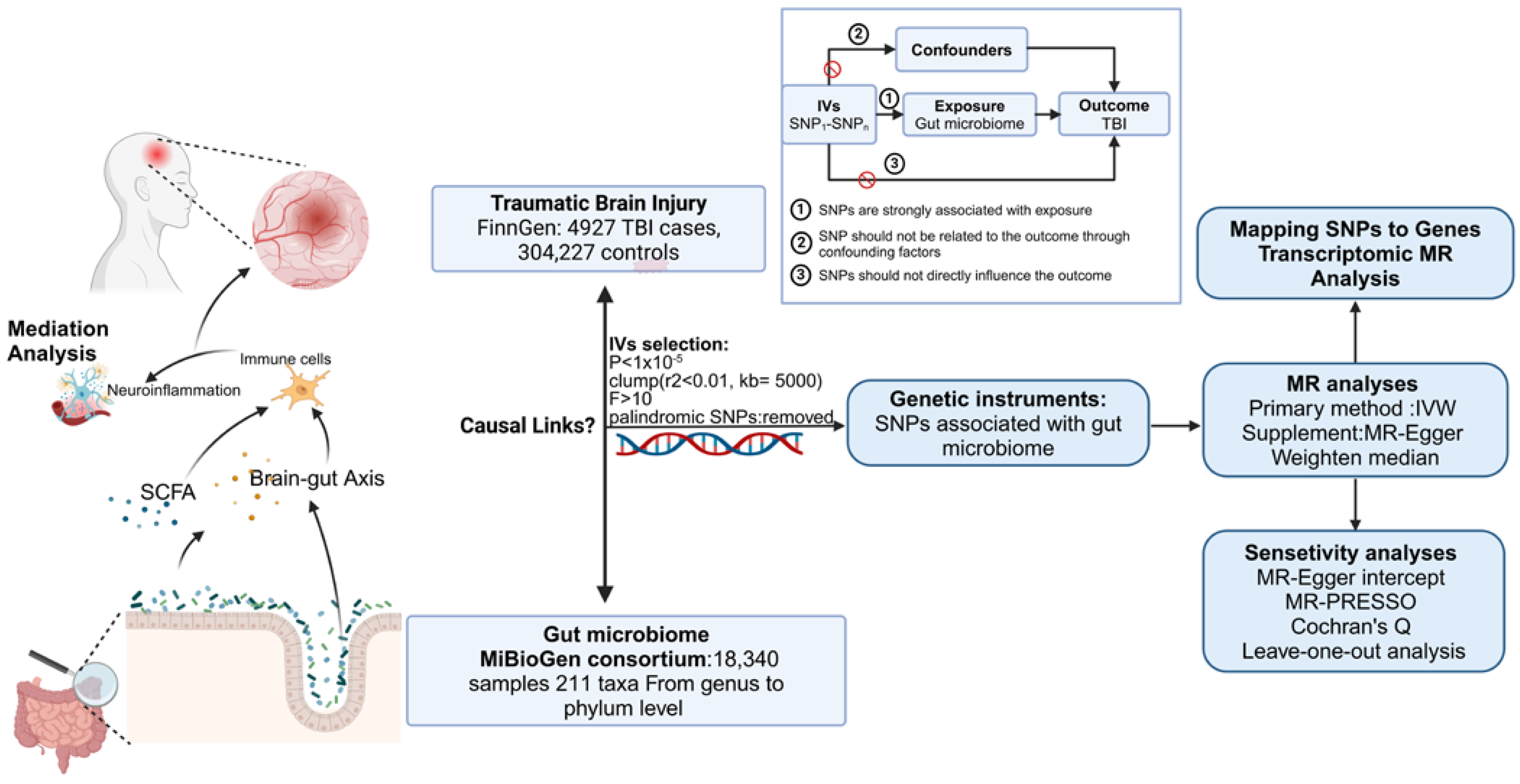 Biomedicines 13 00753 g001