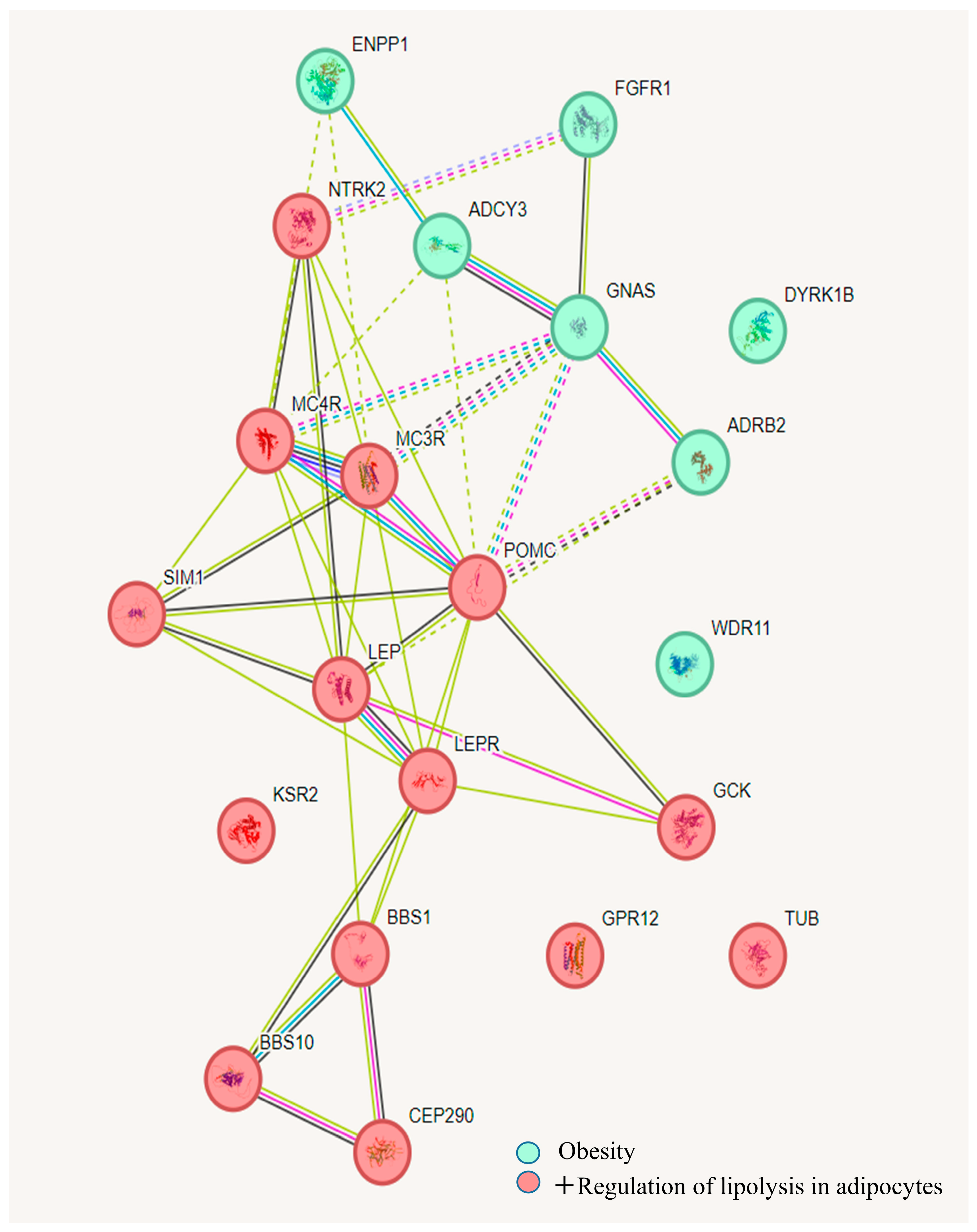 Biomedicines 13 00756 g002