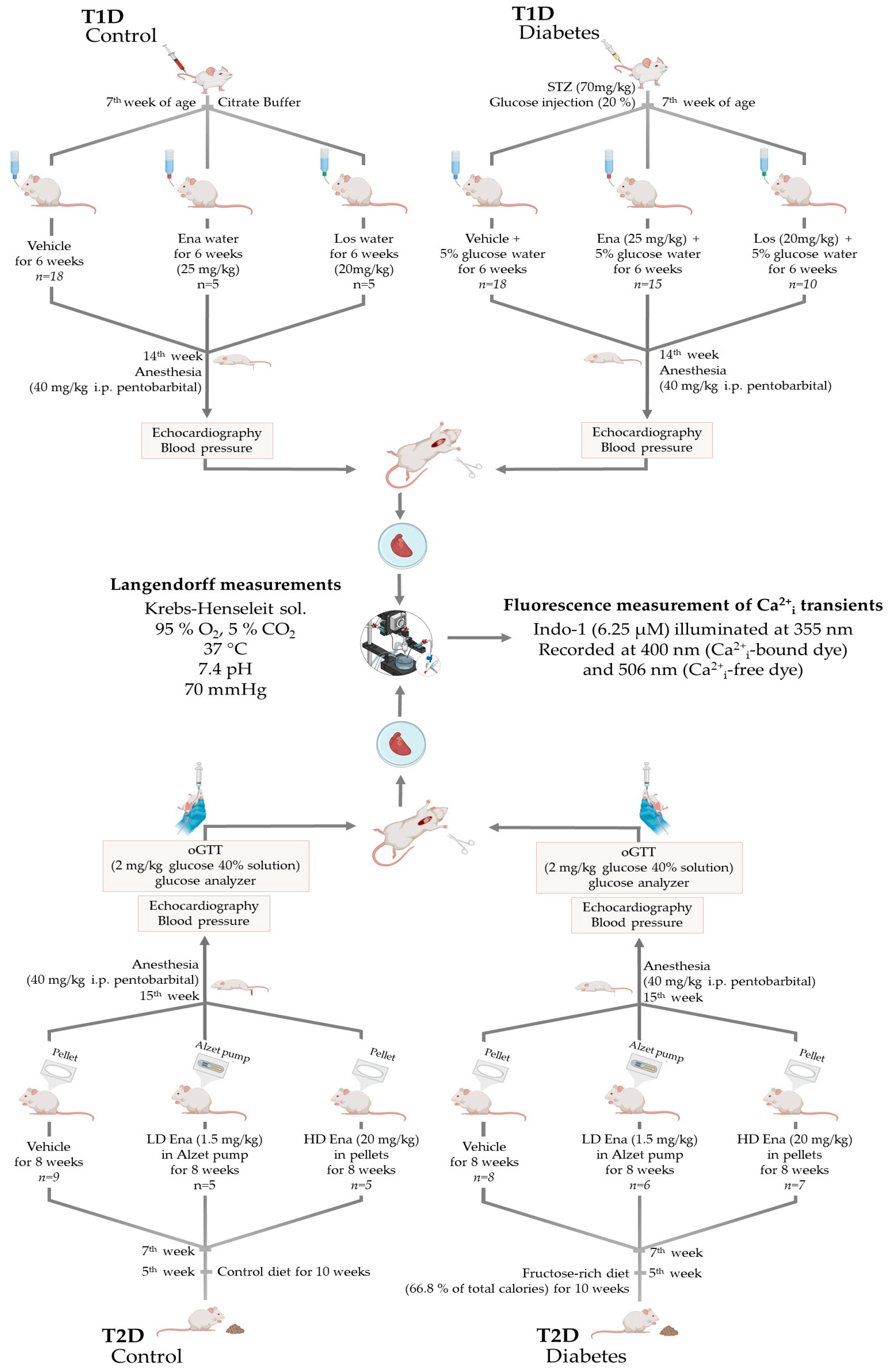 Biomedicines 13 00757 g001