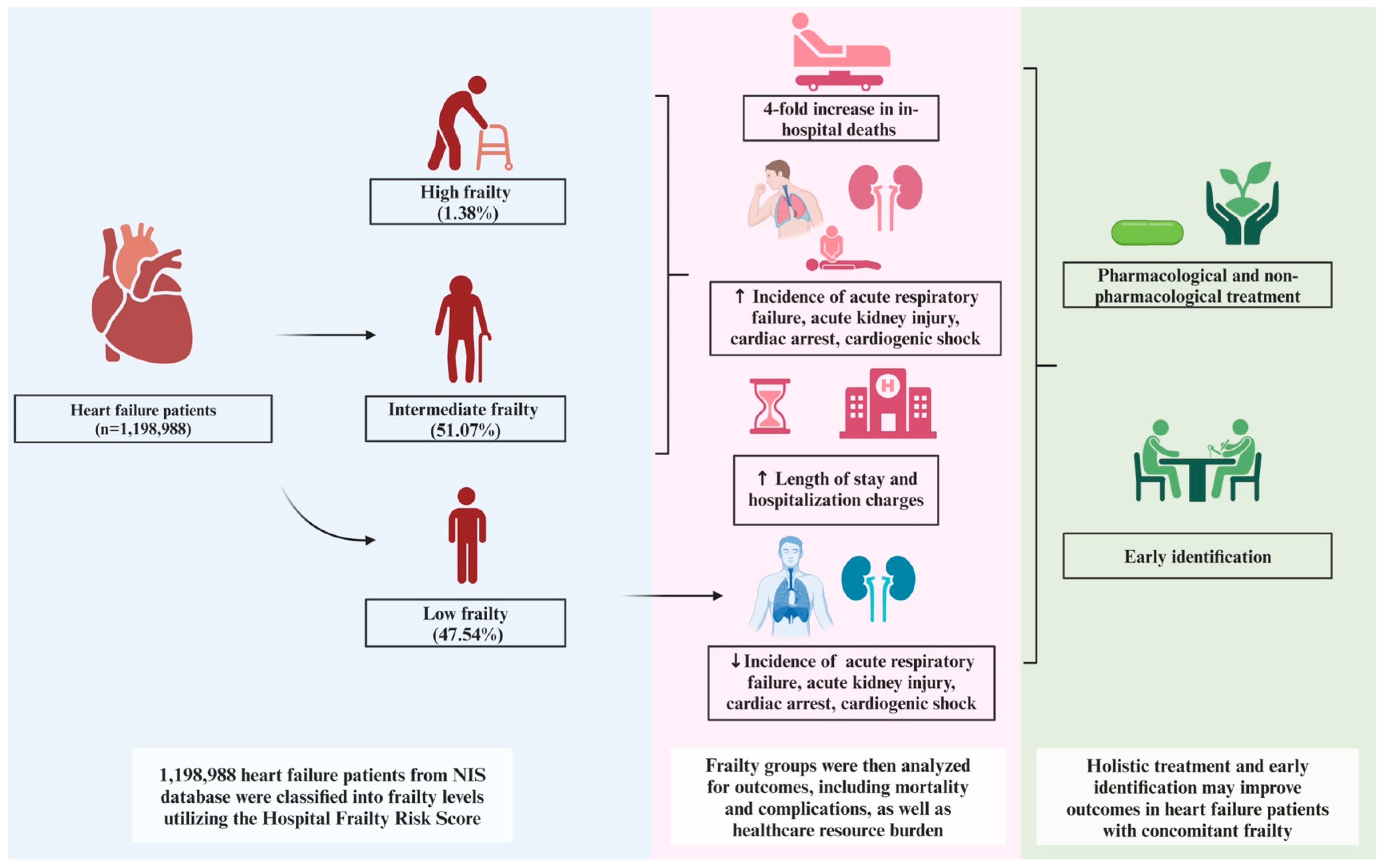 Biomedicines 13 00760 g002