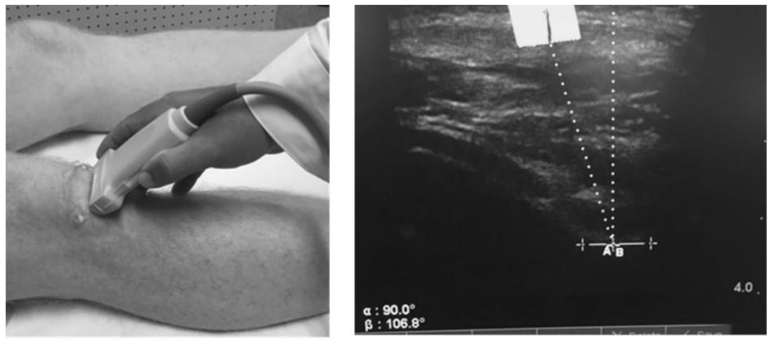 Biomedicines 13 00761 g002