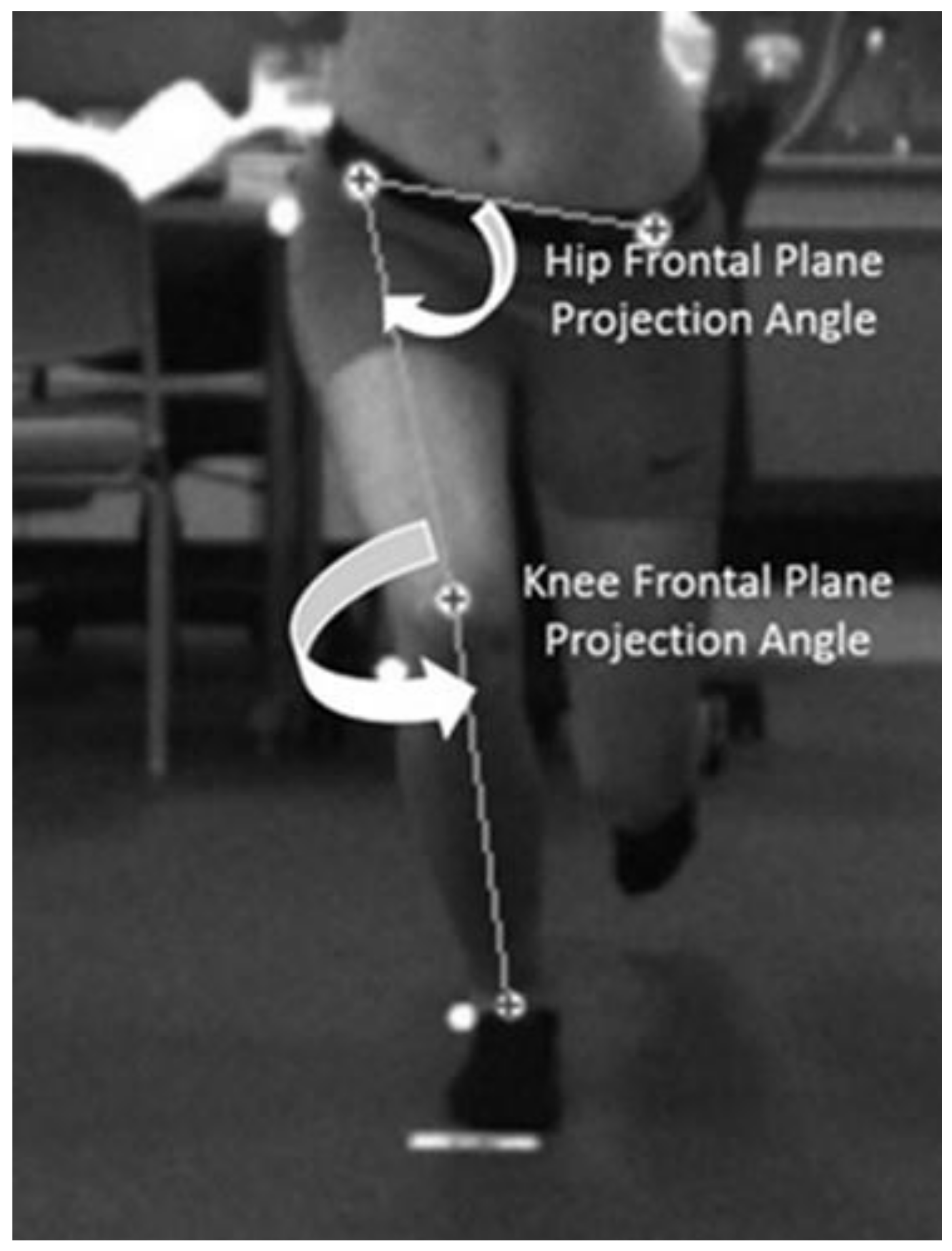 Biomedicines 13 00761 g003