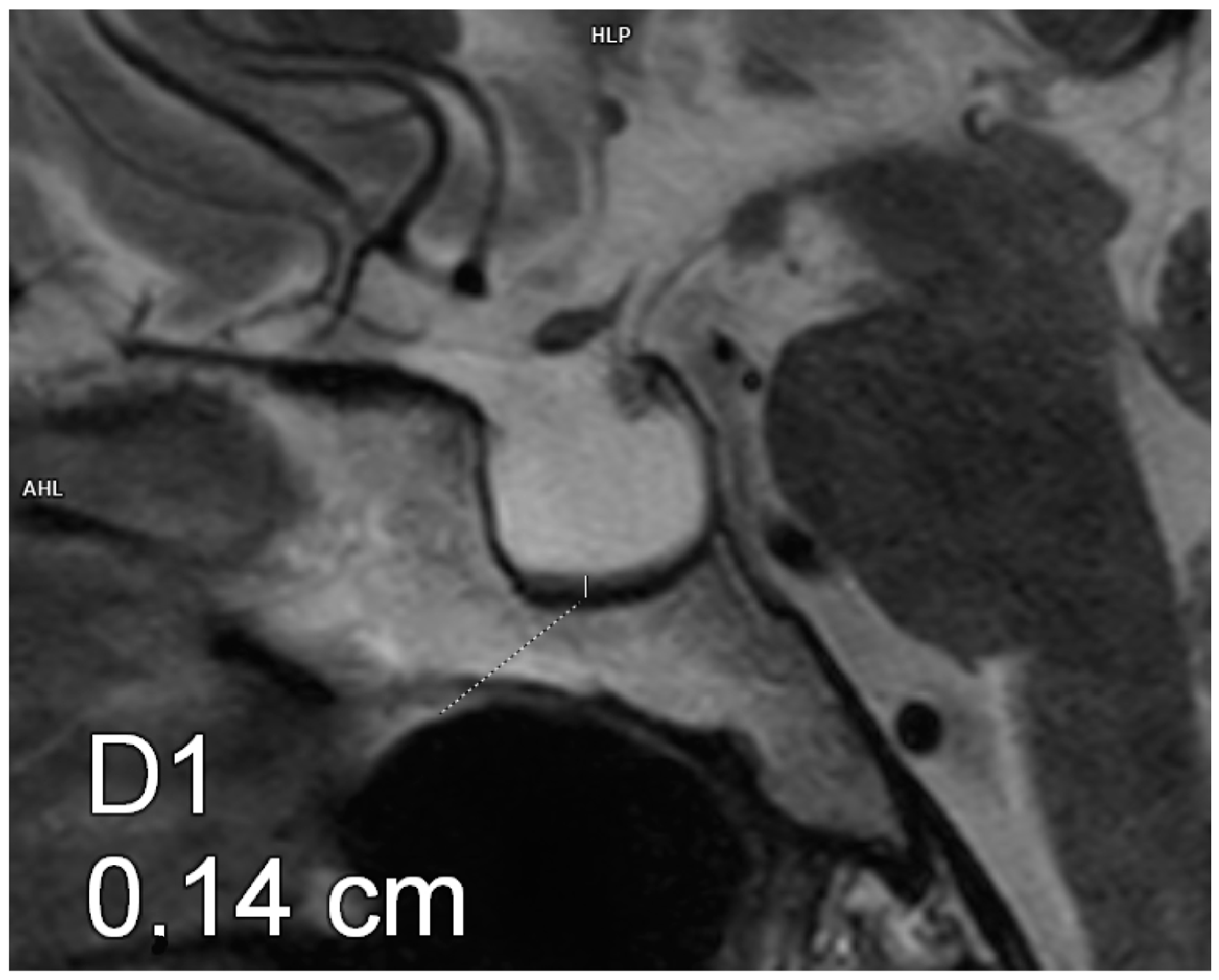 Biomedicines 13 00762 g001