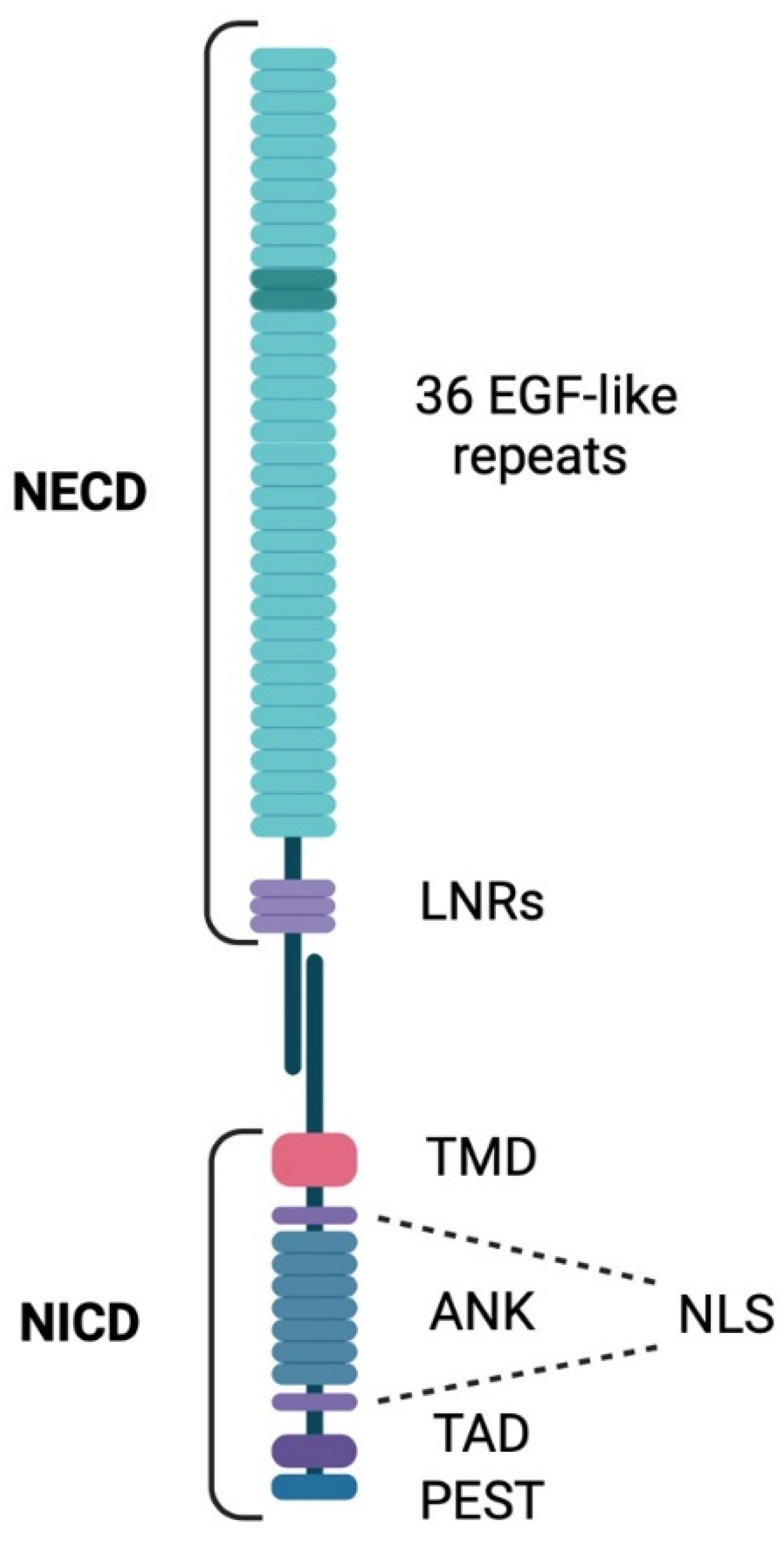 りゅ Catch & Release – rapid cost-effective protein purification