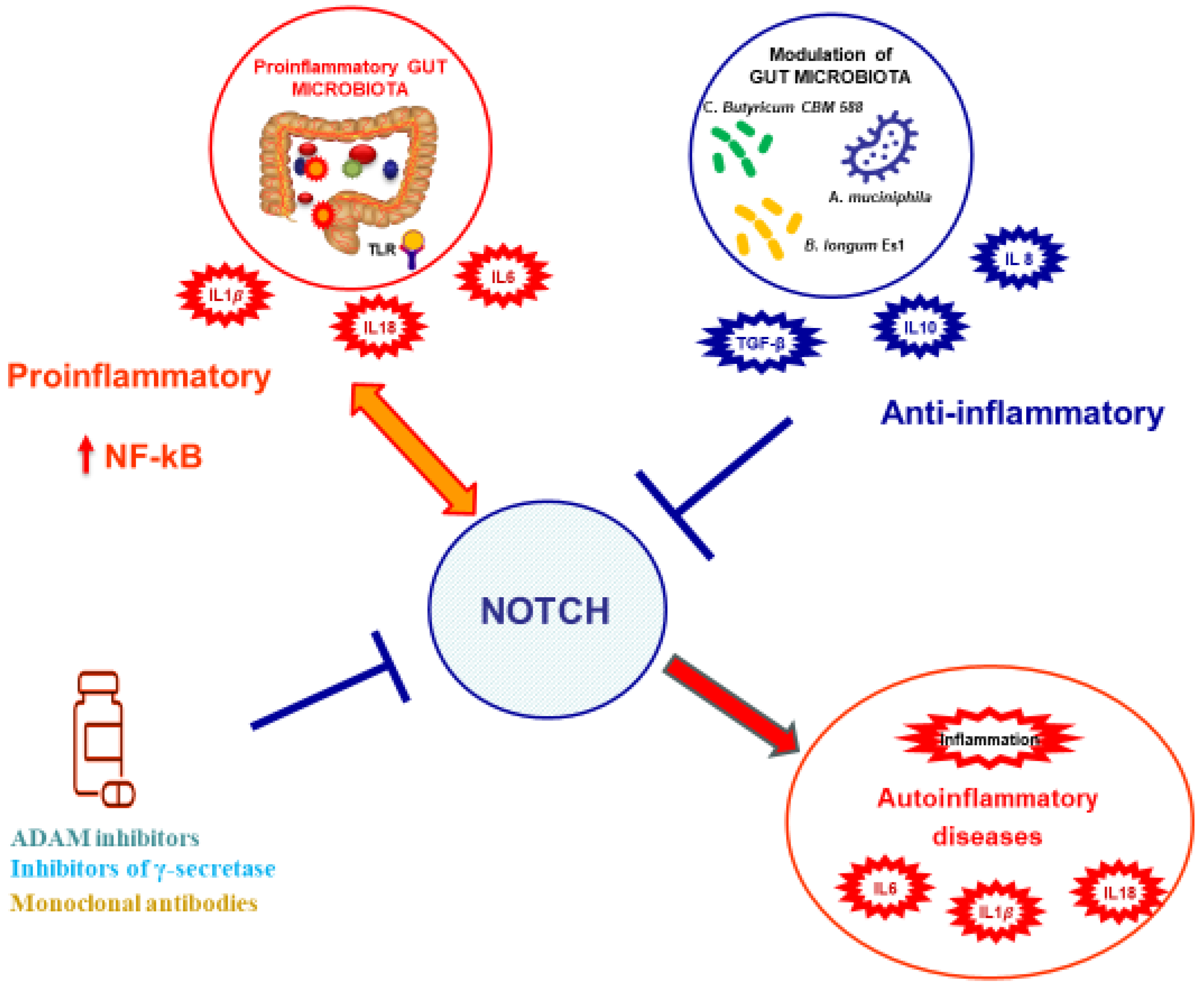Biomedicines 13 00768 g004