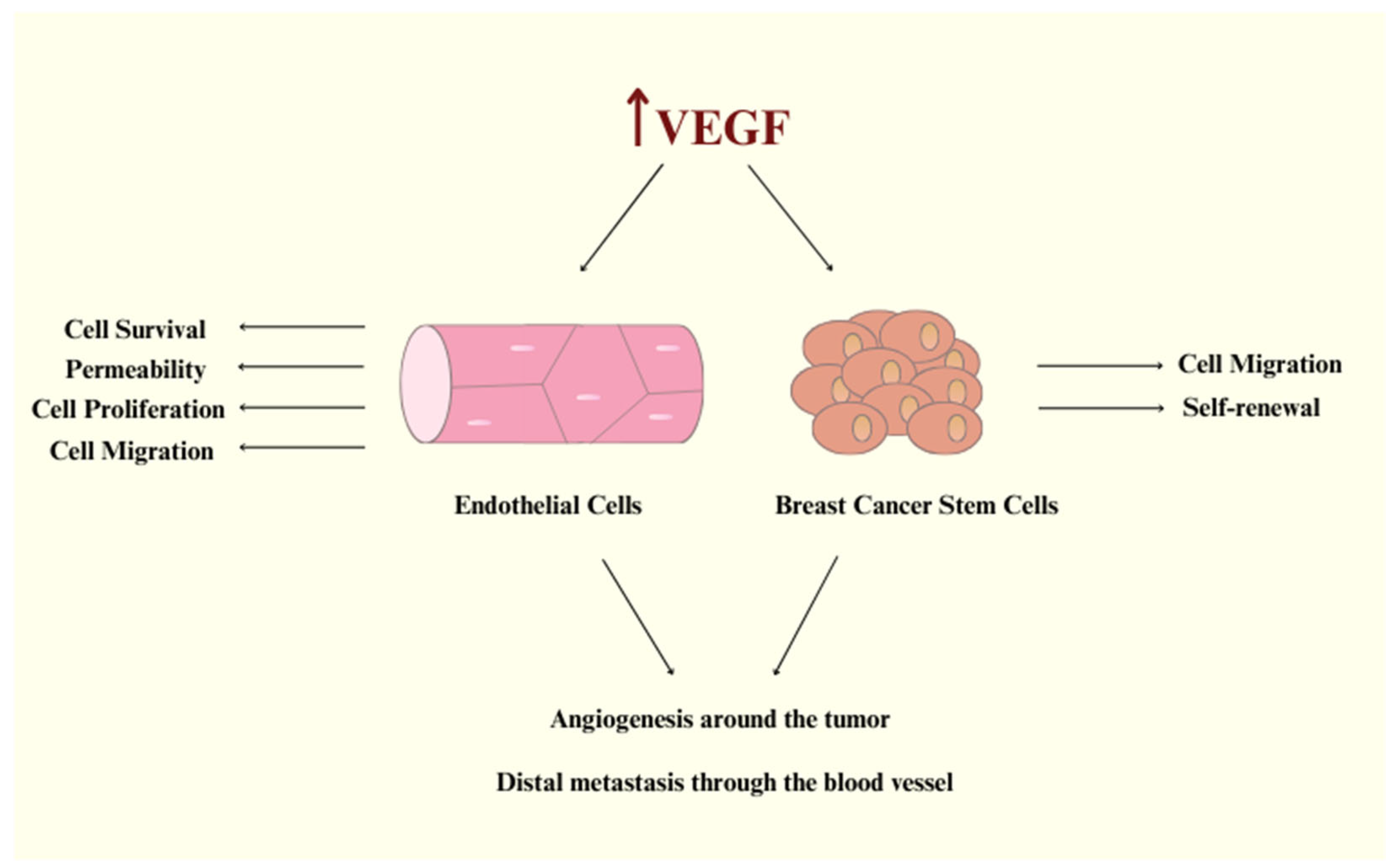 Biomedicines 13 00772 g001