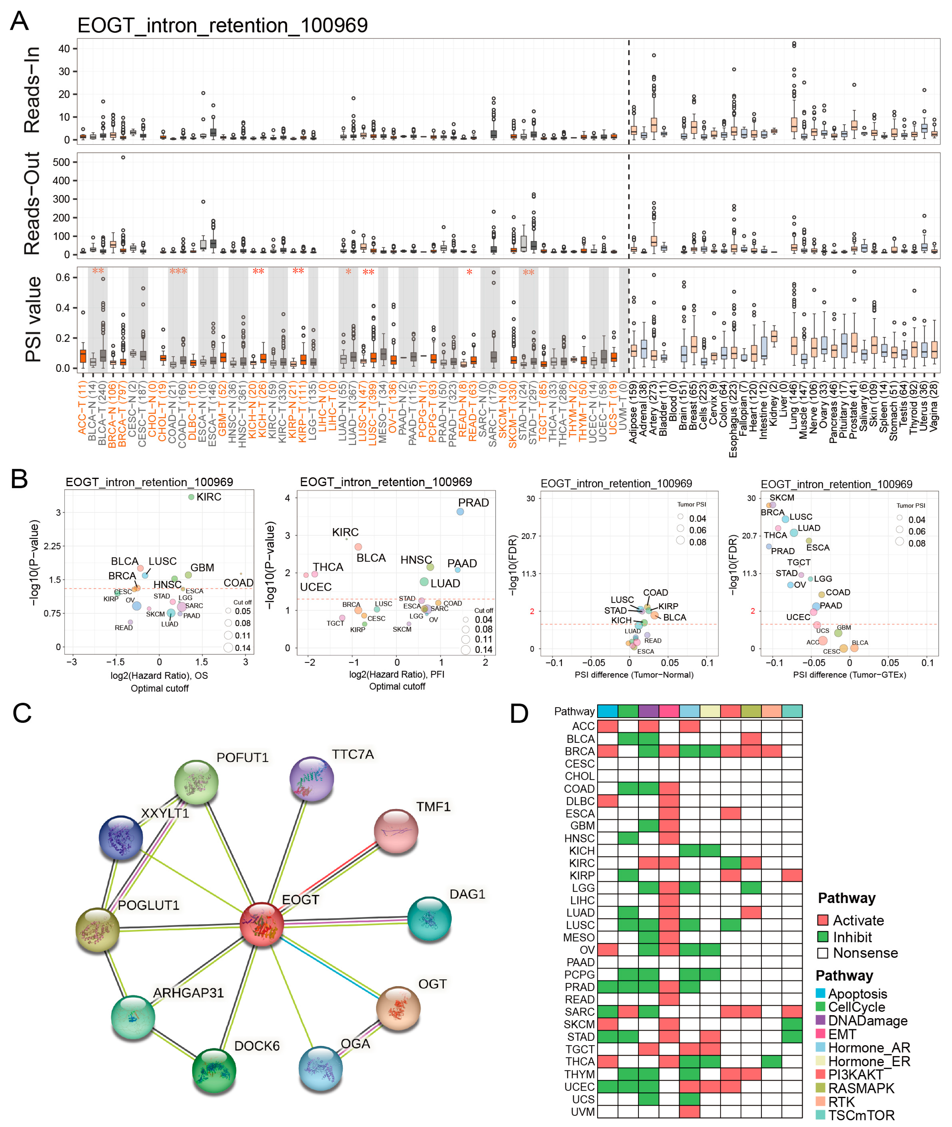 Biomedicines 13 00773 g005