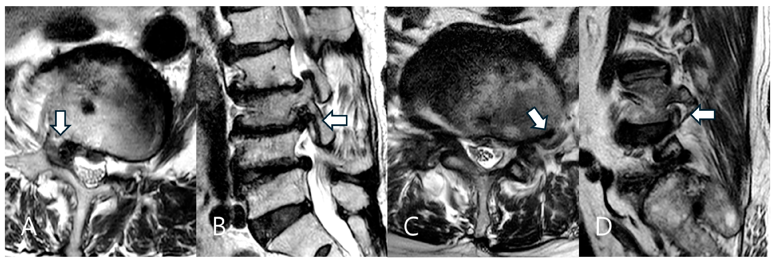 Biomedicines 13 00778 g001