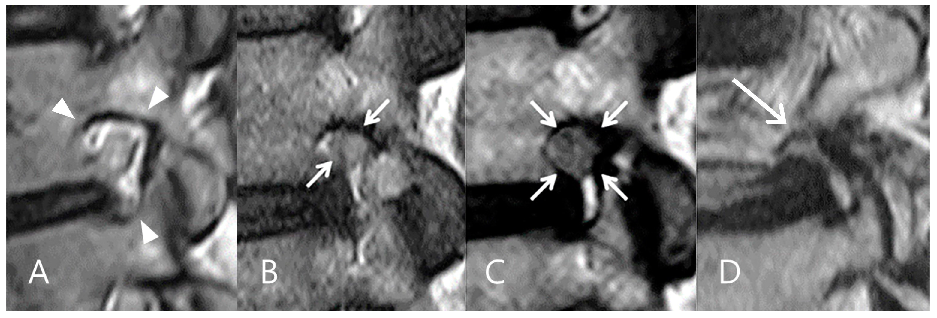 Biomedicines 13 00778 g002