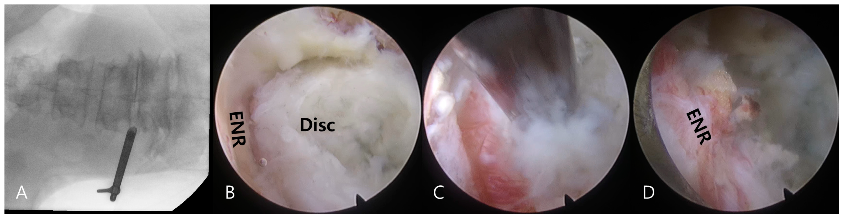 Biomedicines 13 00778 g003