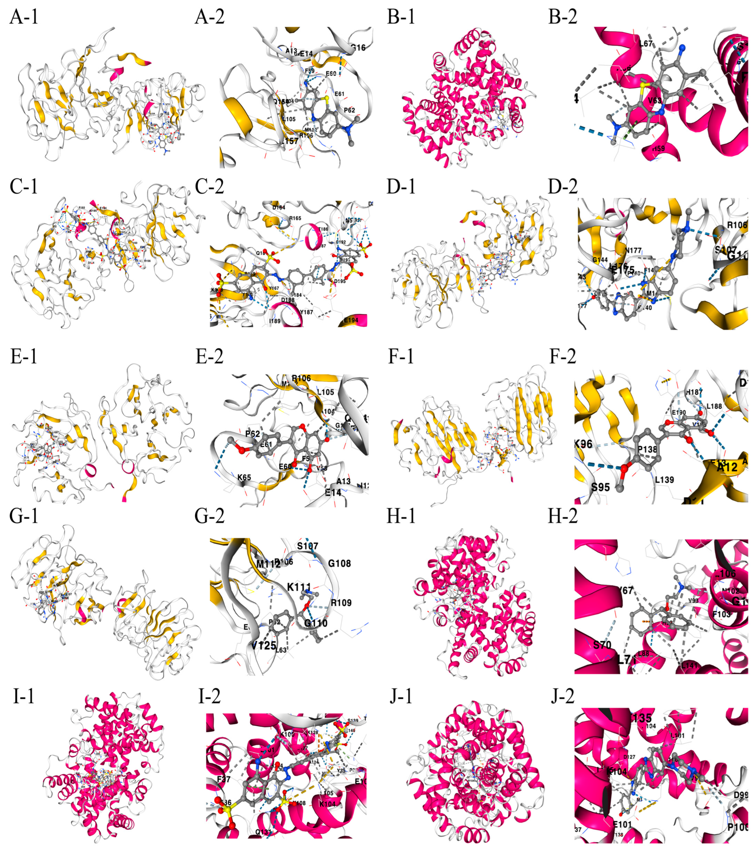 Biomedicines 13 00780 g009 Biomedicines 13 00780 g009