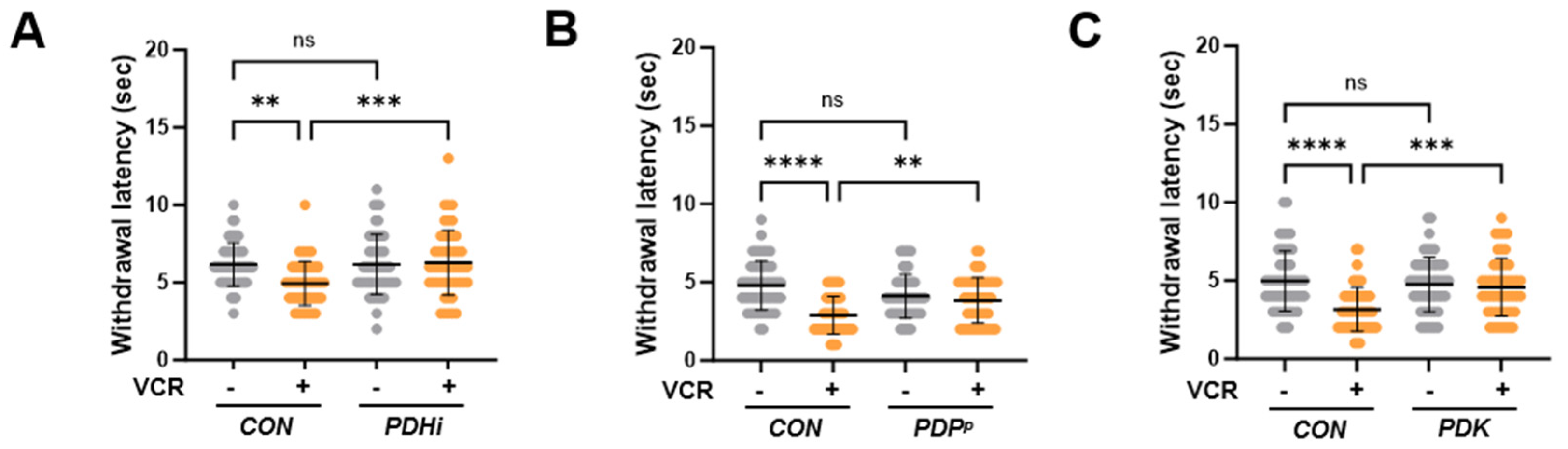 Biomedicines 13 00783 g003