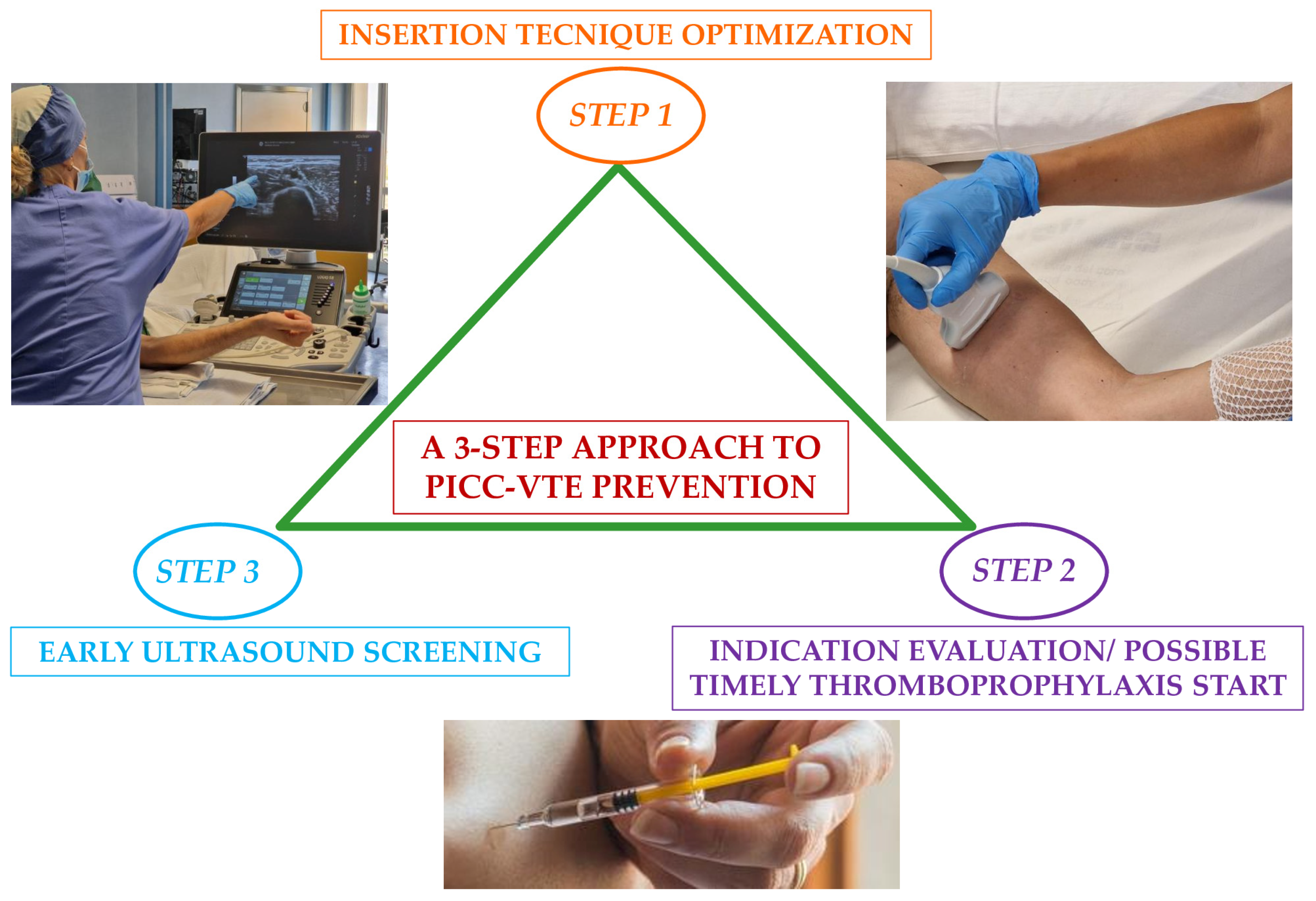 Biomedicines 13 00786 g004