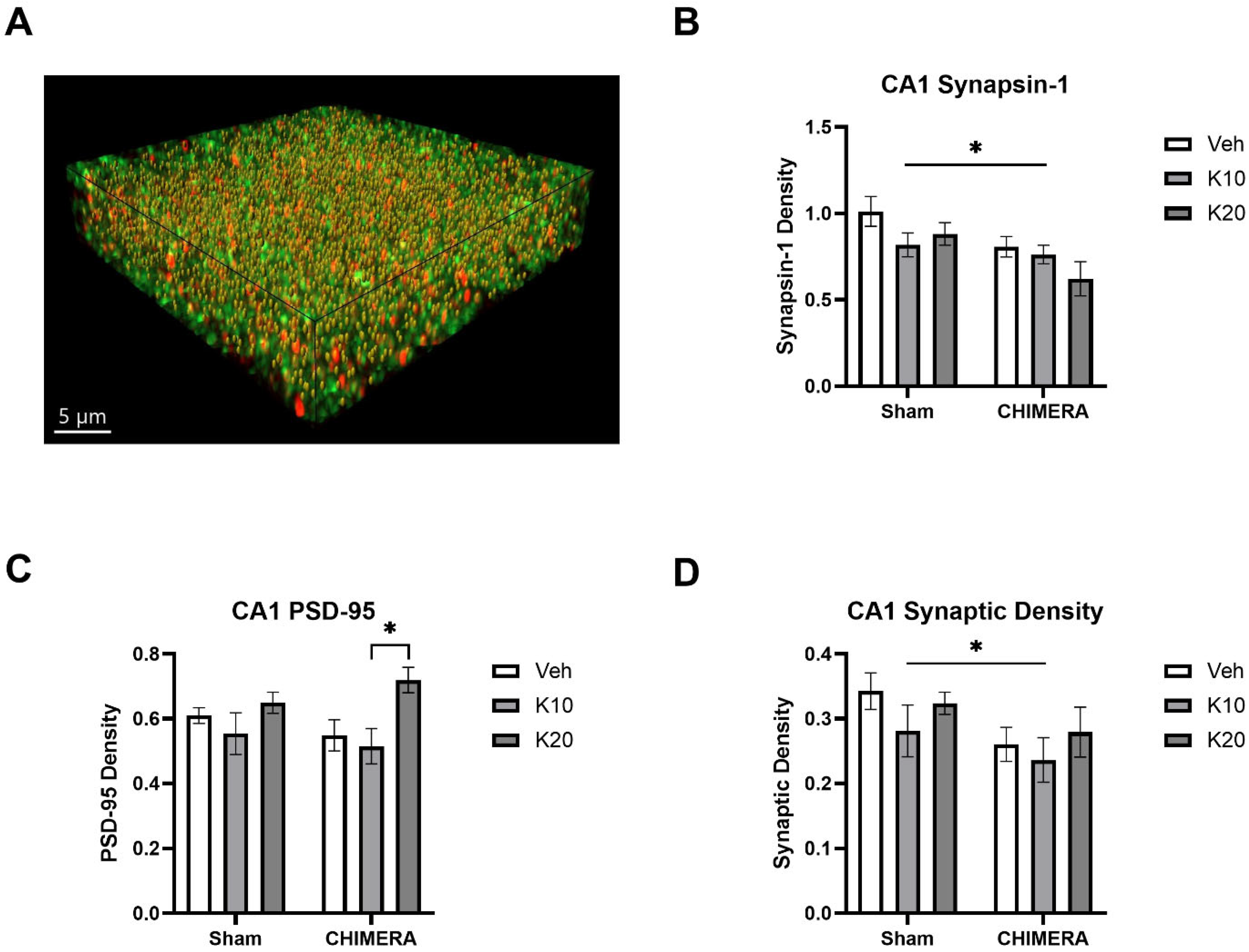 Biomedicines 13 00787 g005