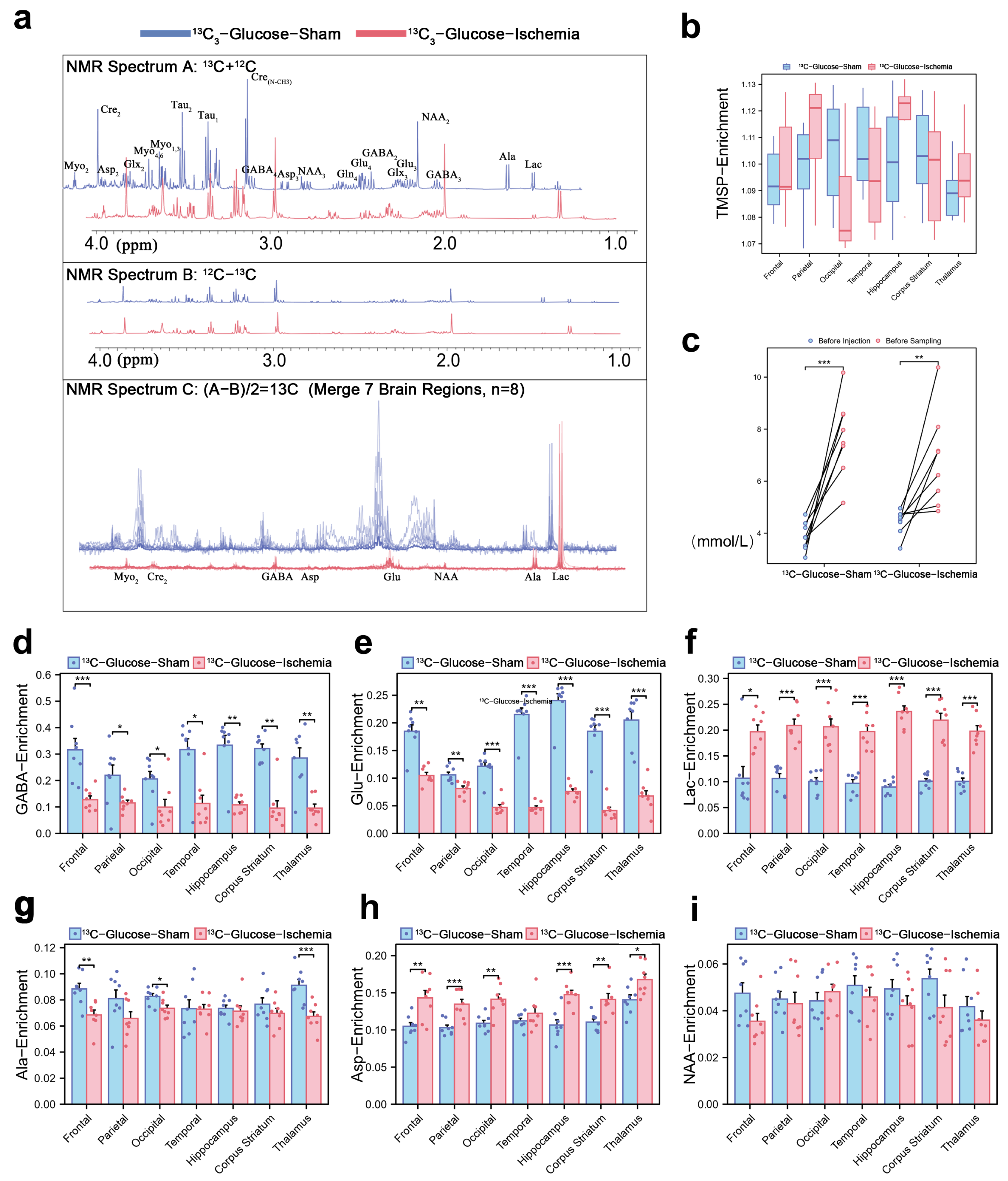 Biomedicines 13 00789 g001