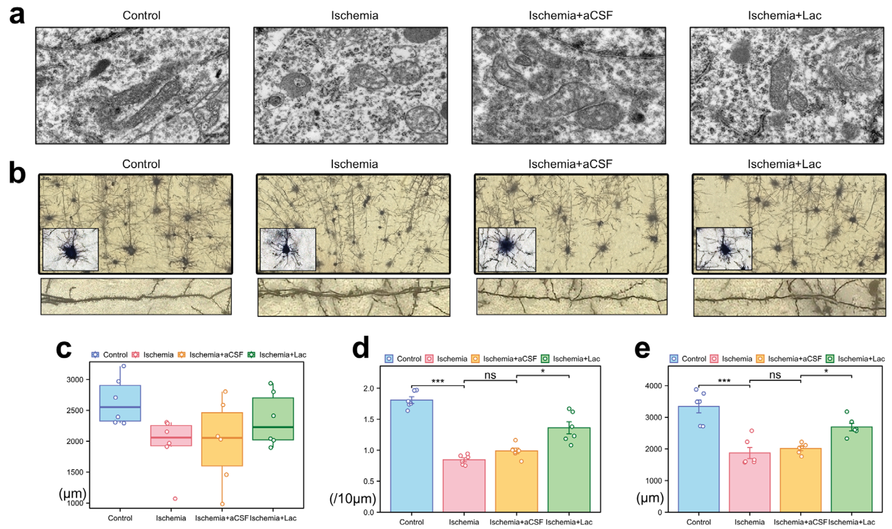 Biomedicines 13 00789 g005