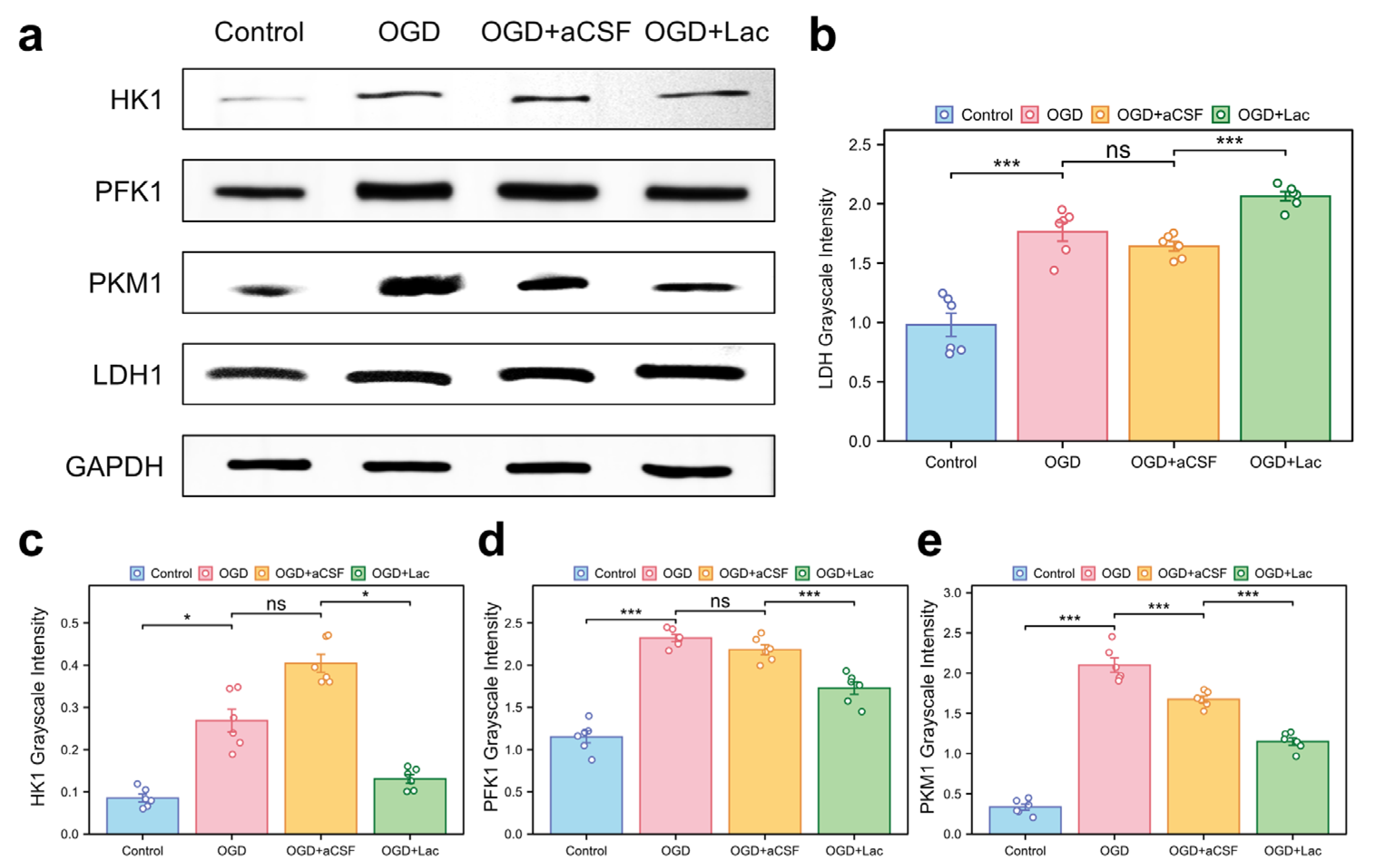 Biomedicines 13 00789 g007