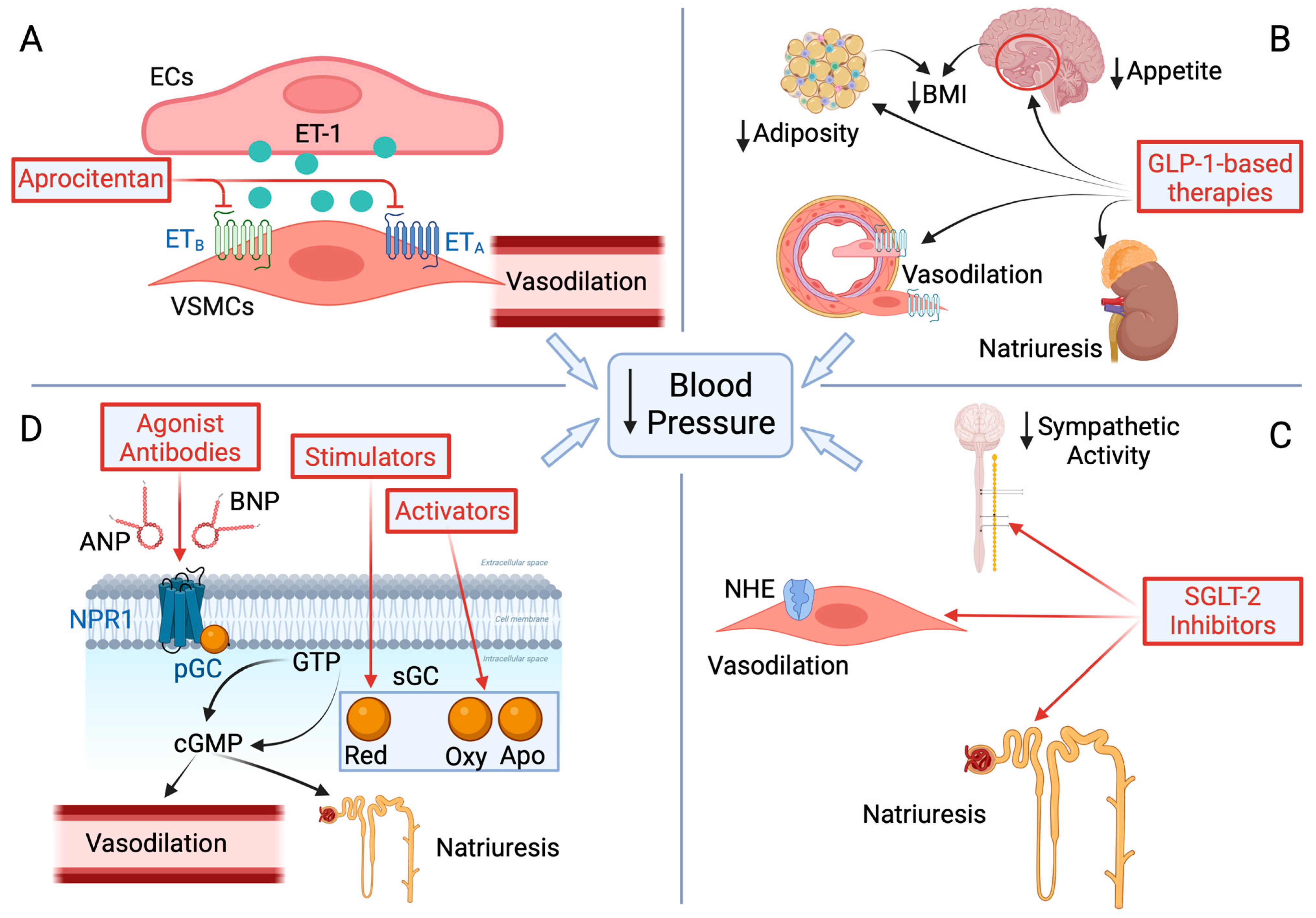 Biomedicines 13 00790 g002
