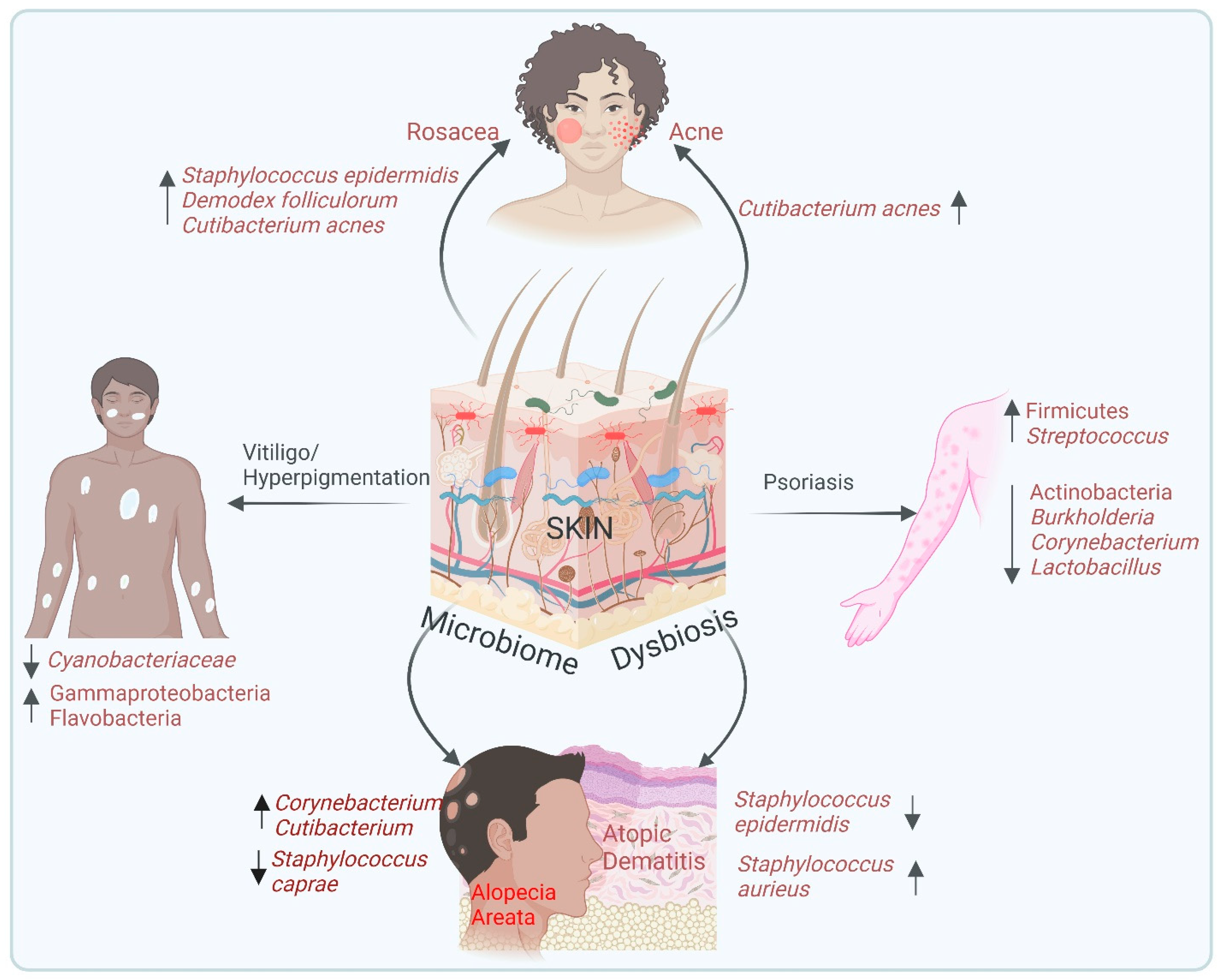 Biomedicines 13 00791 g002 Biomedicines 13 00791 g002
