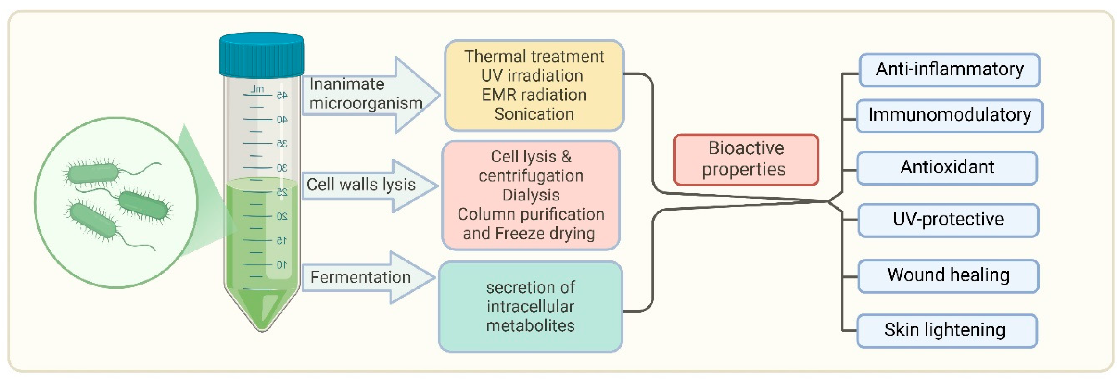 Biomedicines 13 00791 g003 Biomedicines 13 00791 g003