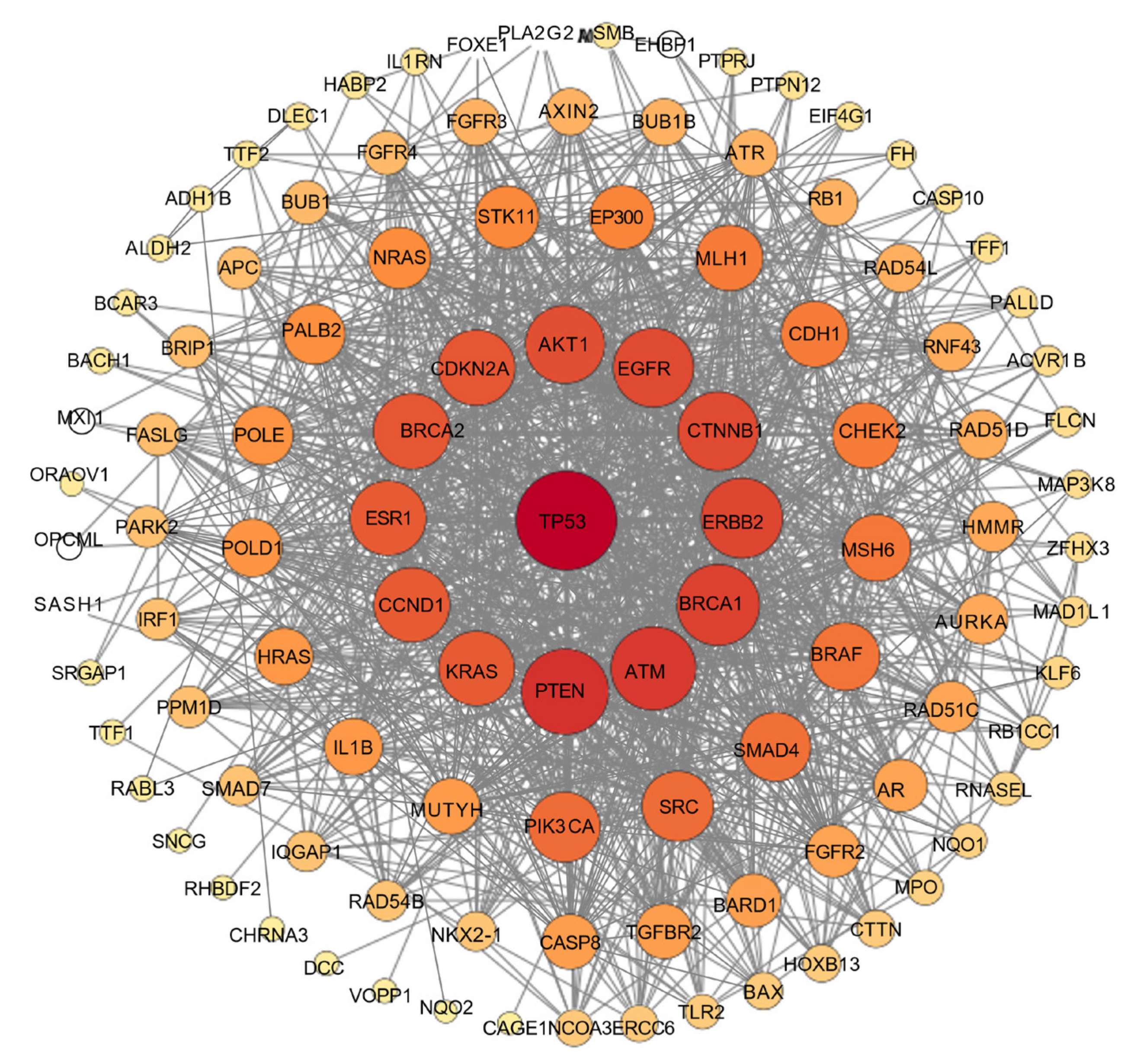 Biomedicines 13 00793 g008