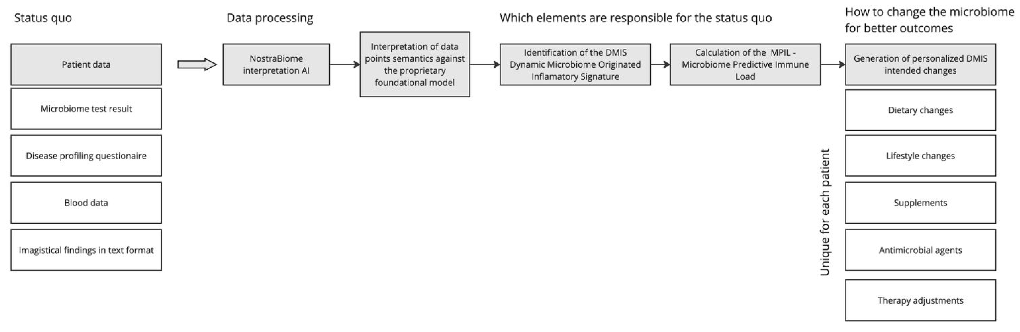 Biomedicines 13 00795 g001