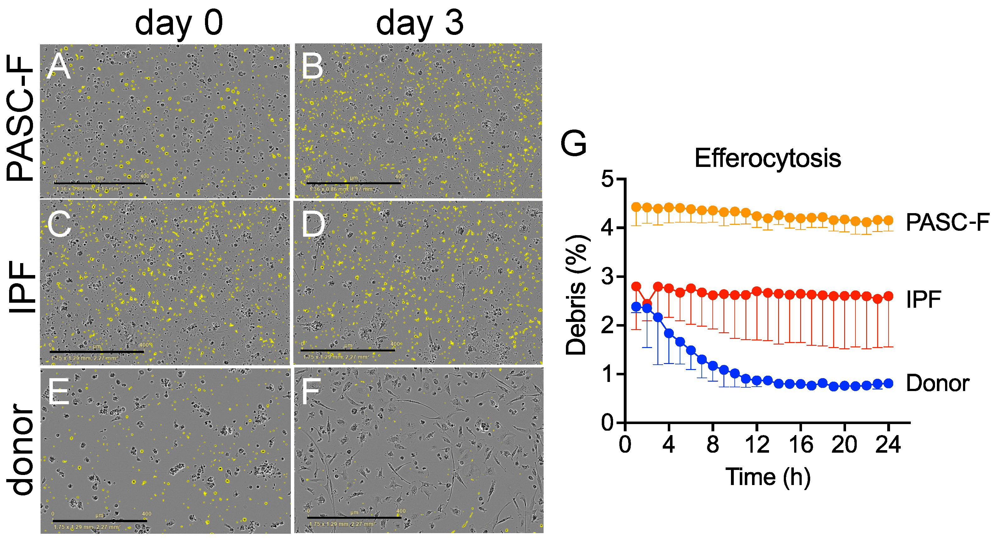 Biomedicines 13 00796 g001