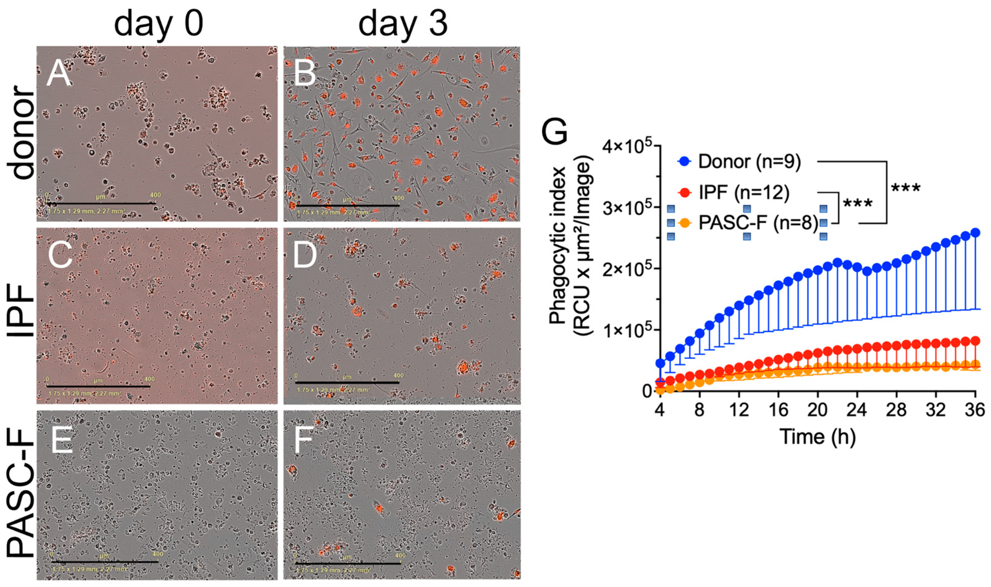 Biomedicines 13 00796 g002