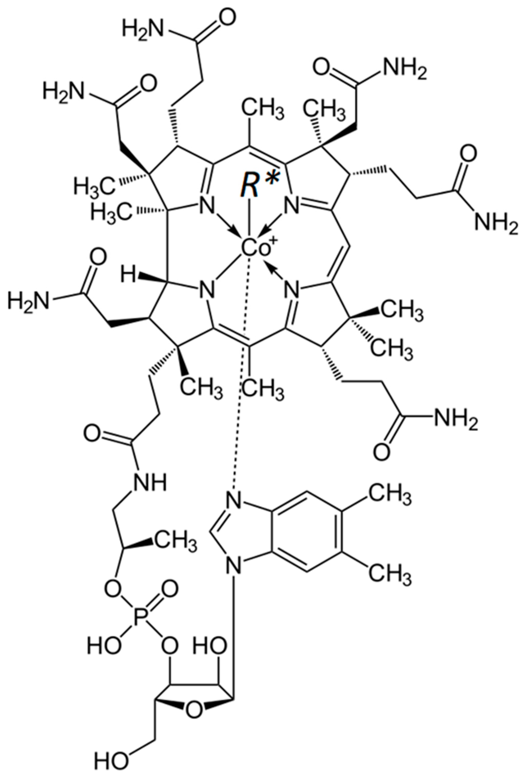 Biomedicines 13 00801 g001