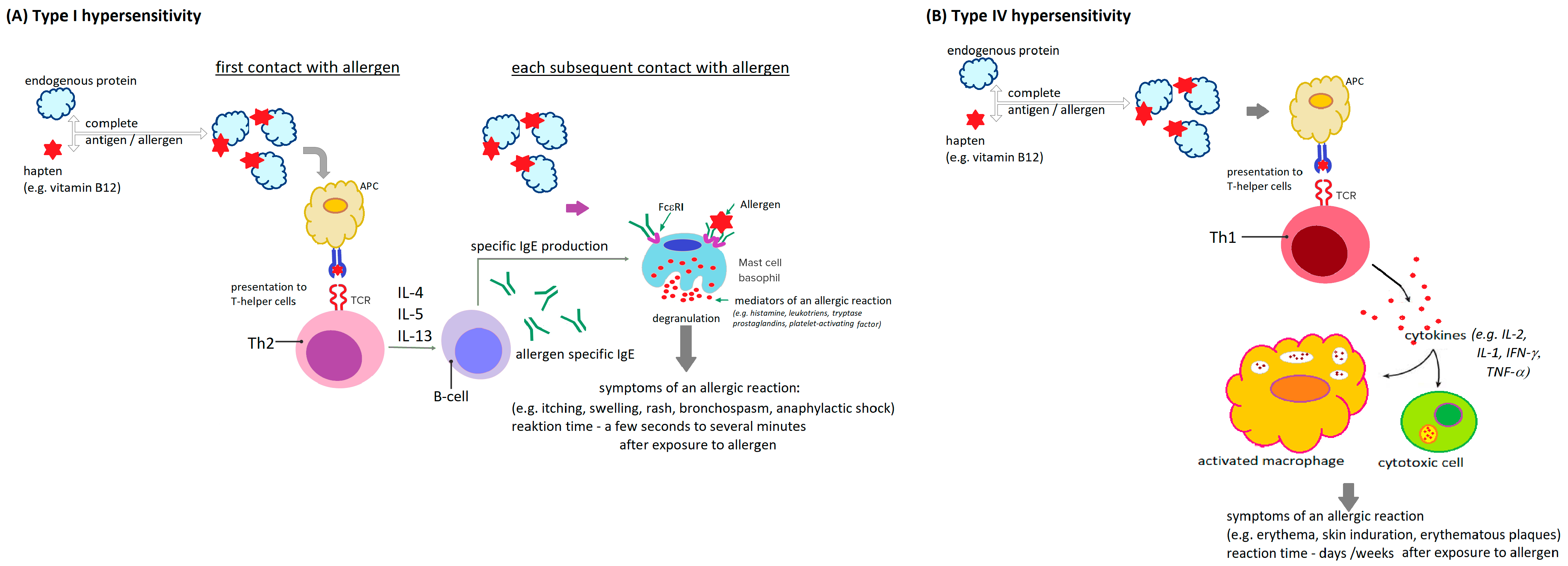 Biomedicines 13 00801 g002