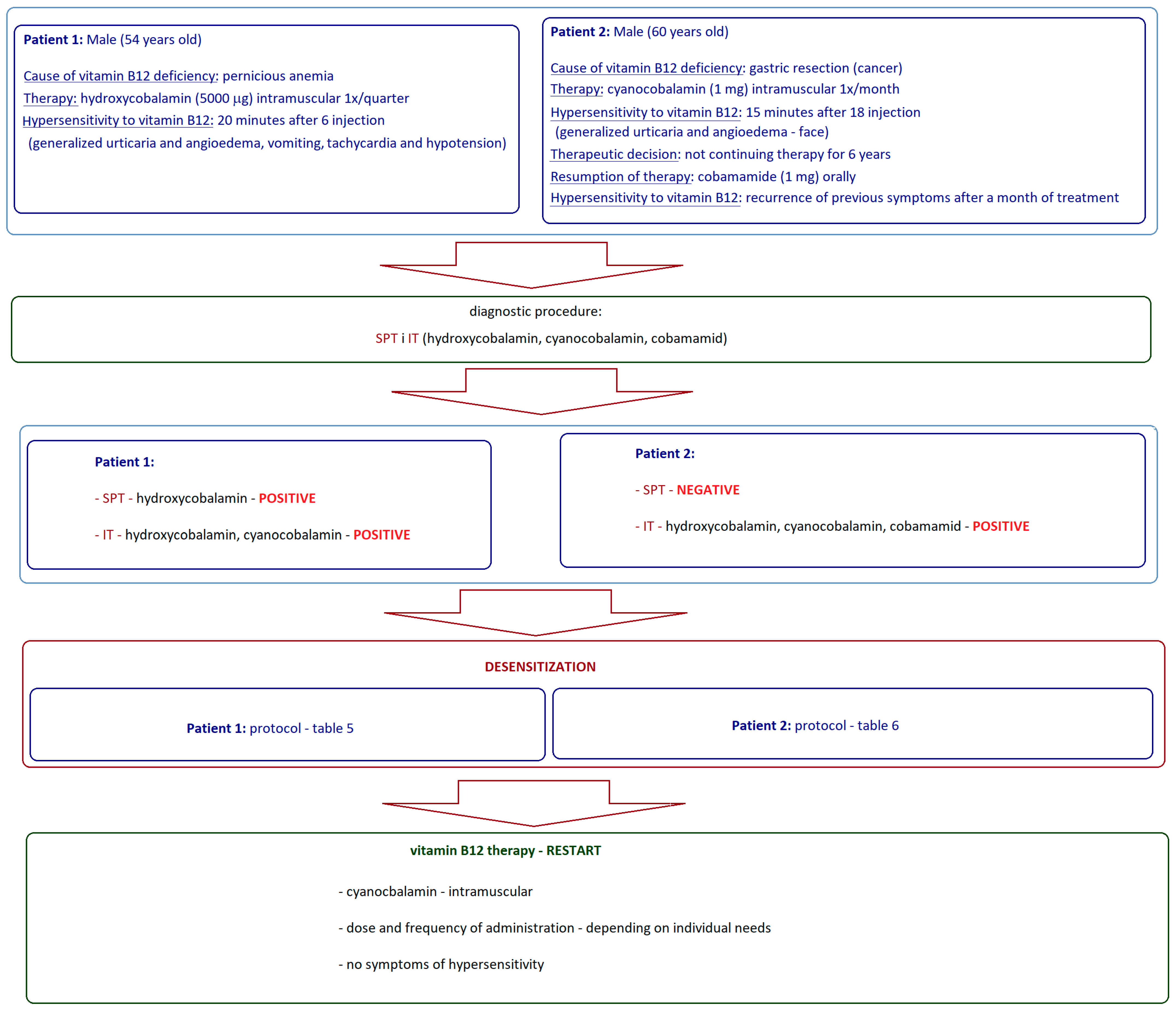 Biomedicines 13 00801 g004