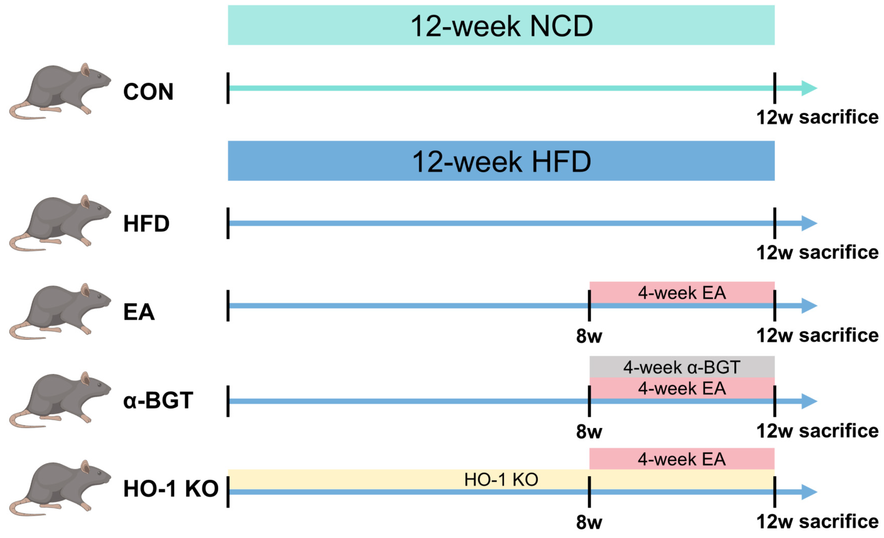 Biomedicines 13 00802 g001