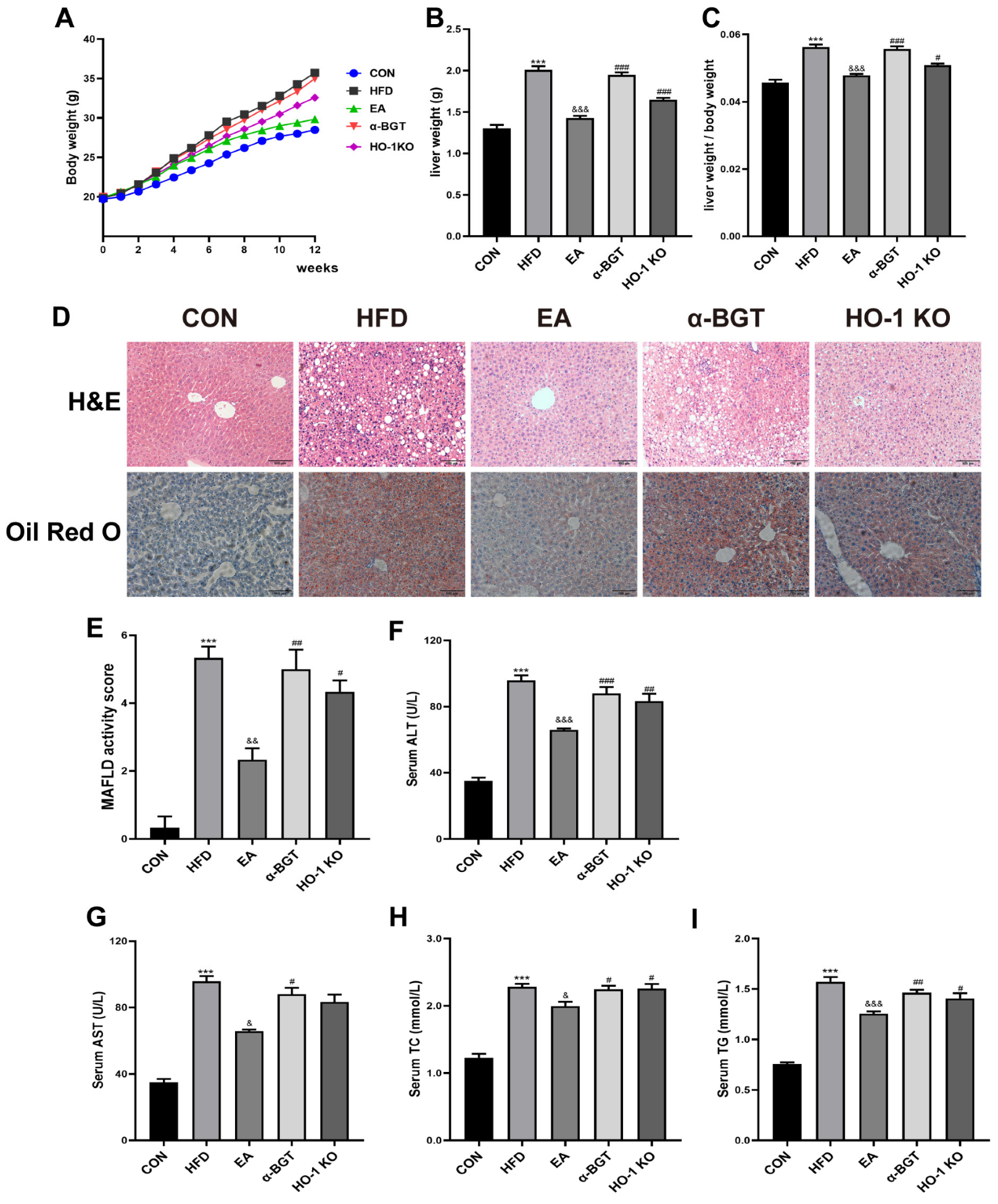 Biomedicines 13 00802 g002